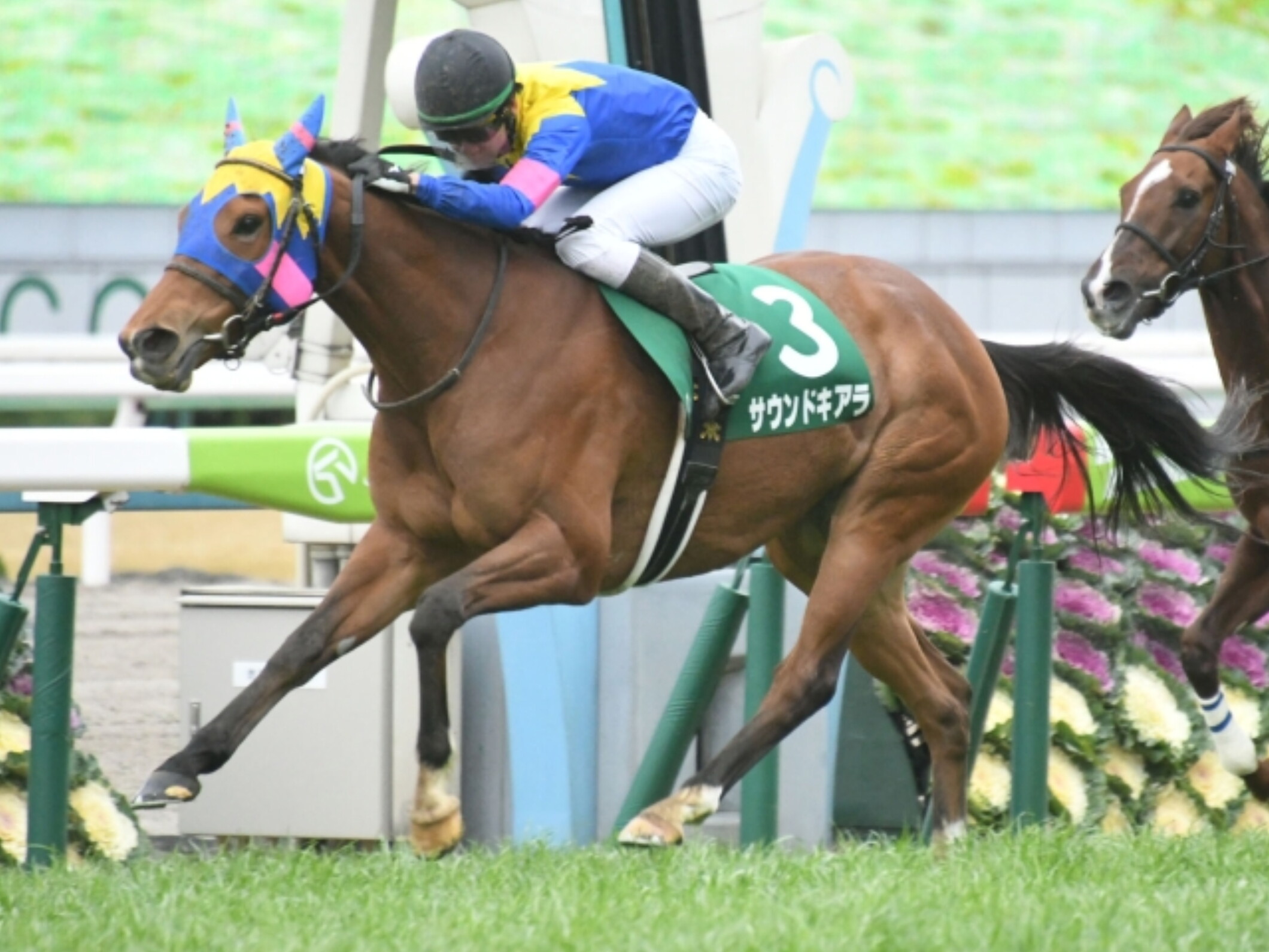 Kohei_Matsuyama_with_Sound_Chiara