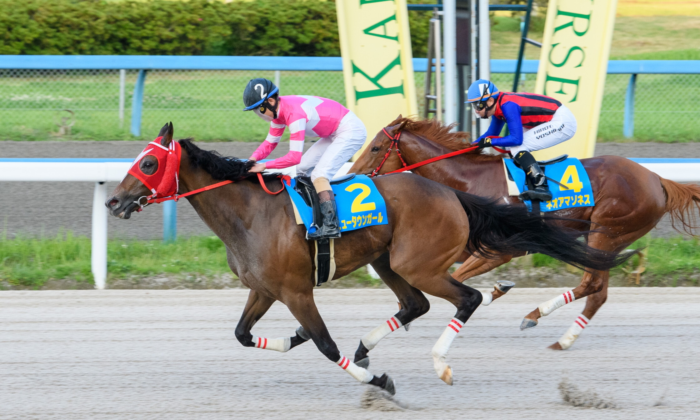 Nihonkai_Sprint_2021