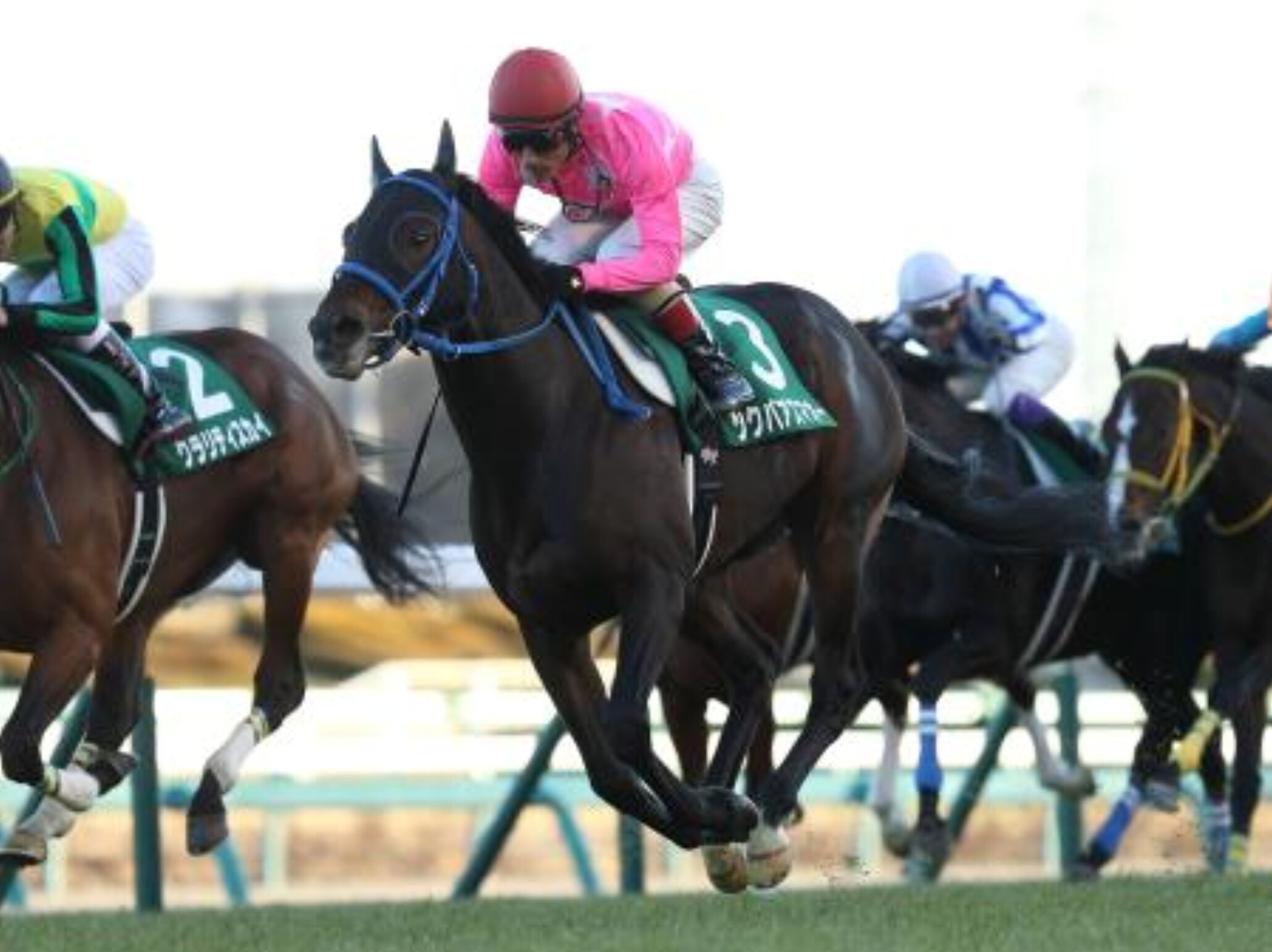 Nakayama_Kimpai_2017