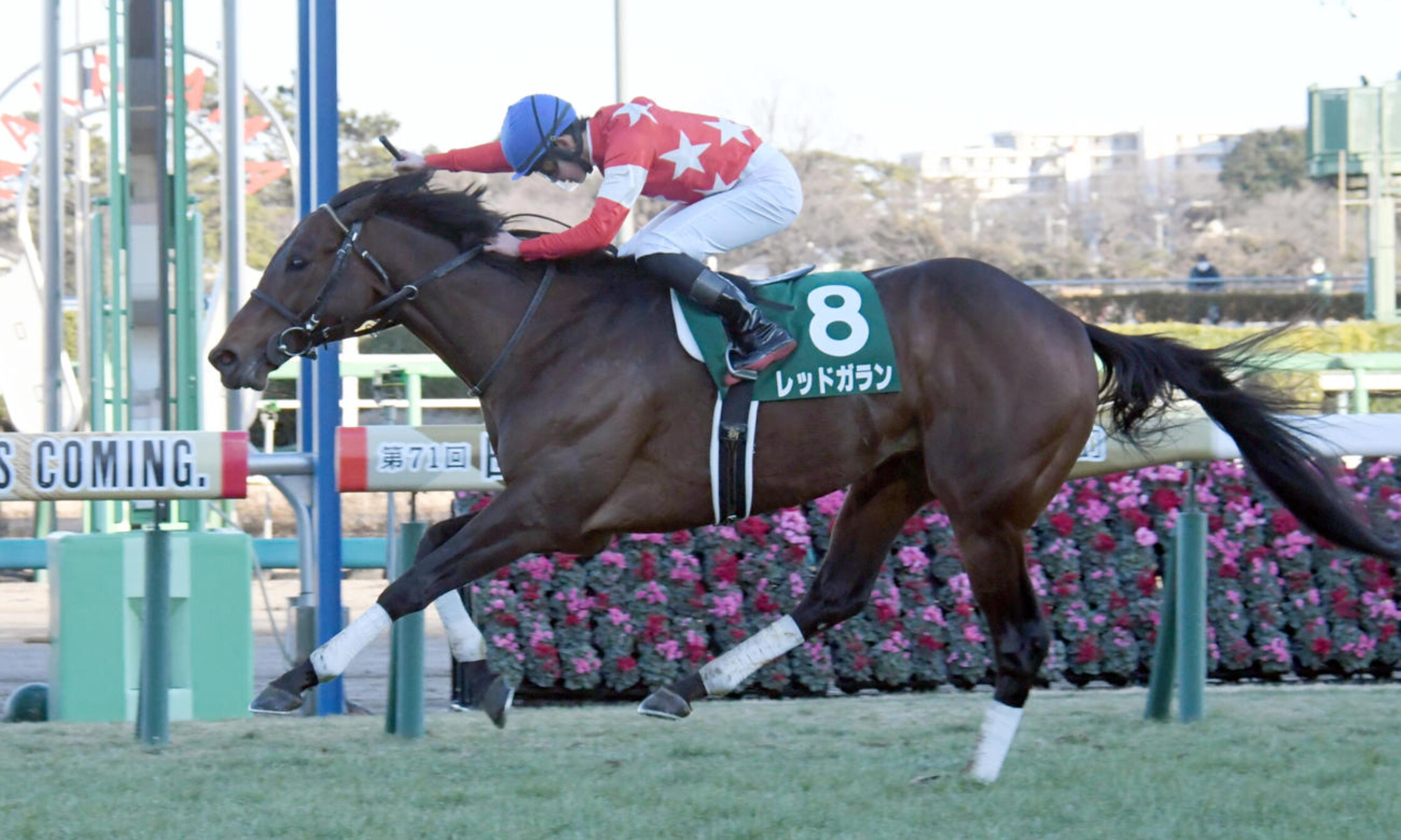 Nakayama_Kinpai_2022