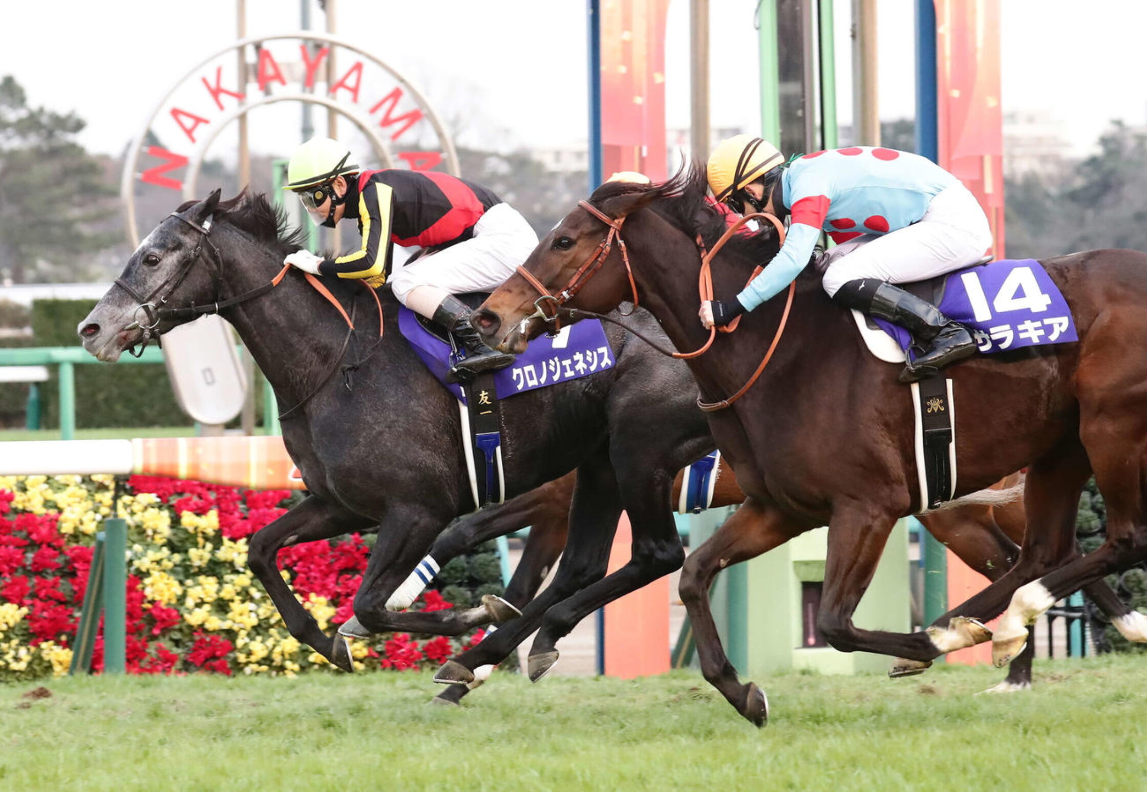 Arima_Kinen_2020