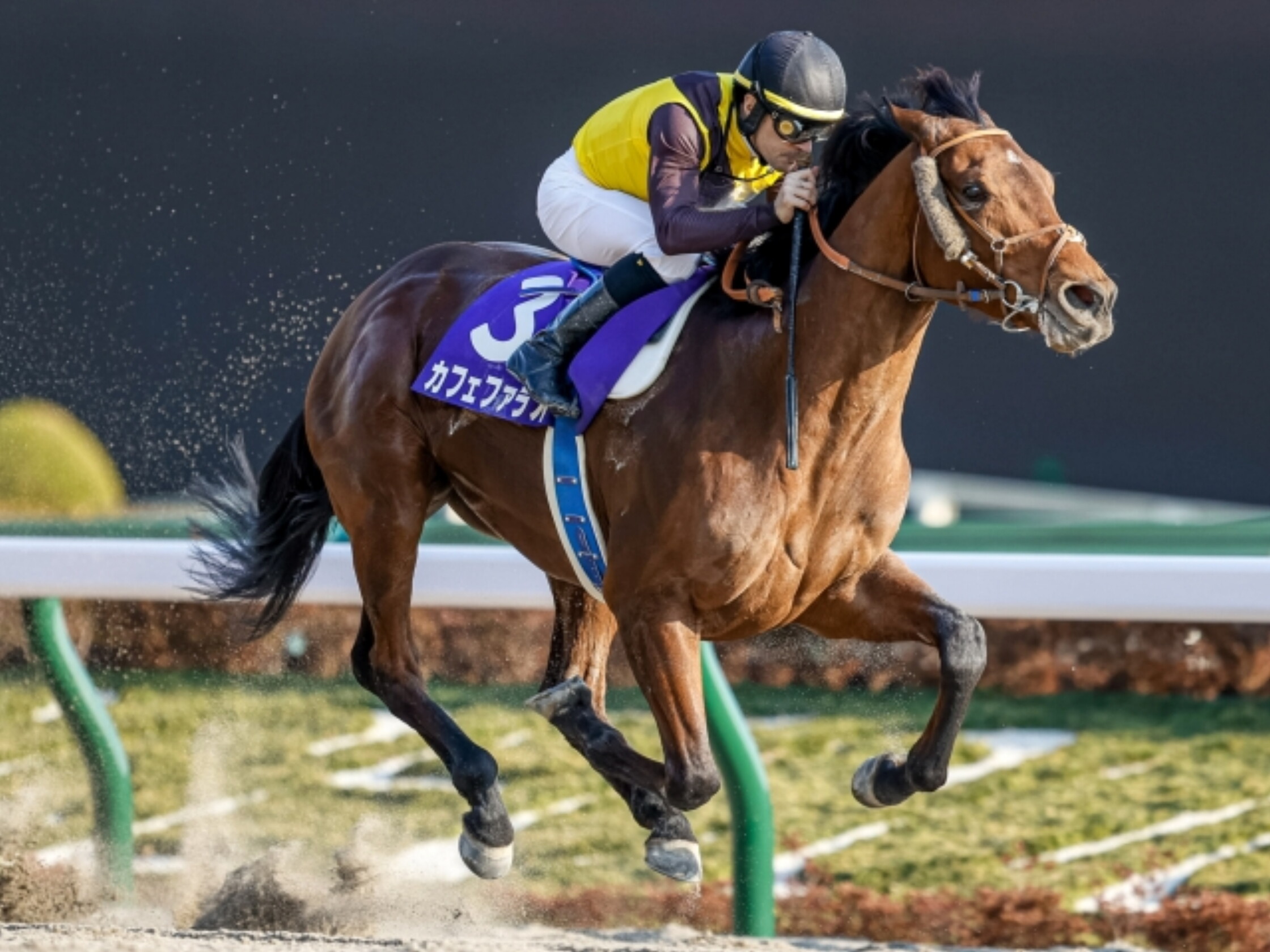 February_Stakes_2021