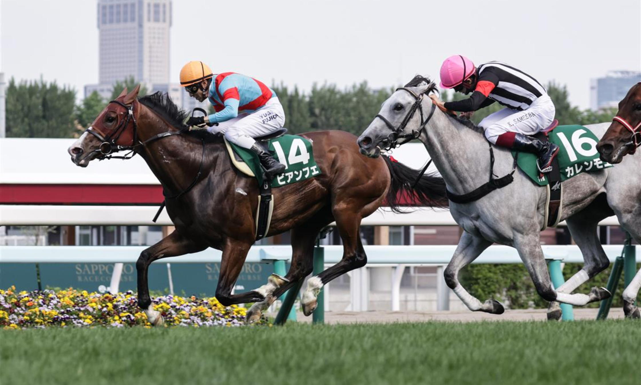 Hakodate_Sprint_Stakes_2021