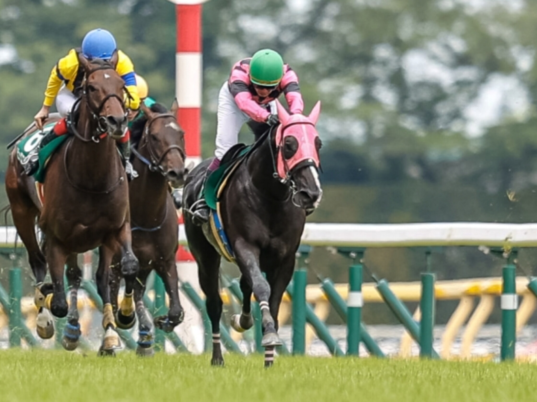 Tokyo_Jump_Stakes_2021