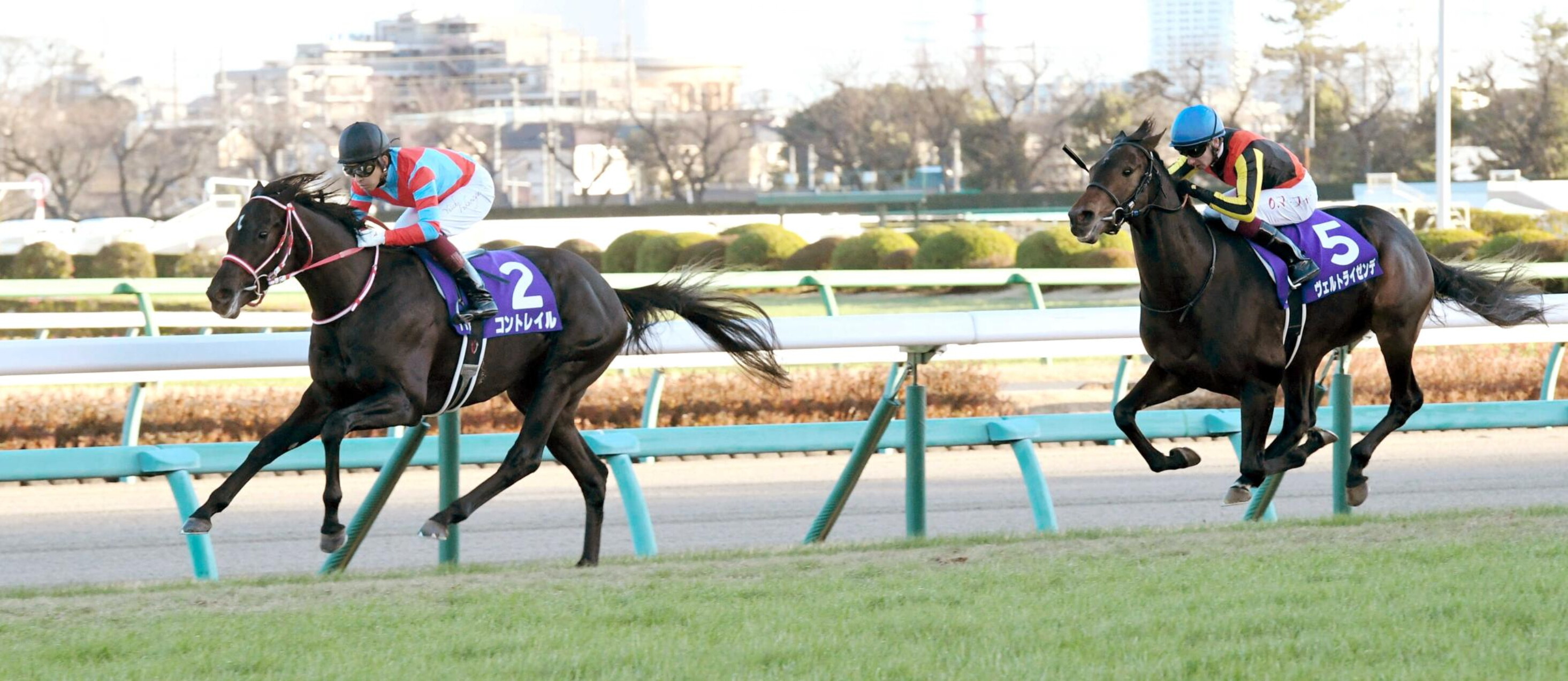 Nakayama 11R Hopeful Stakes