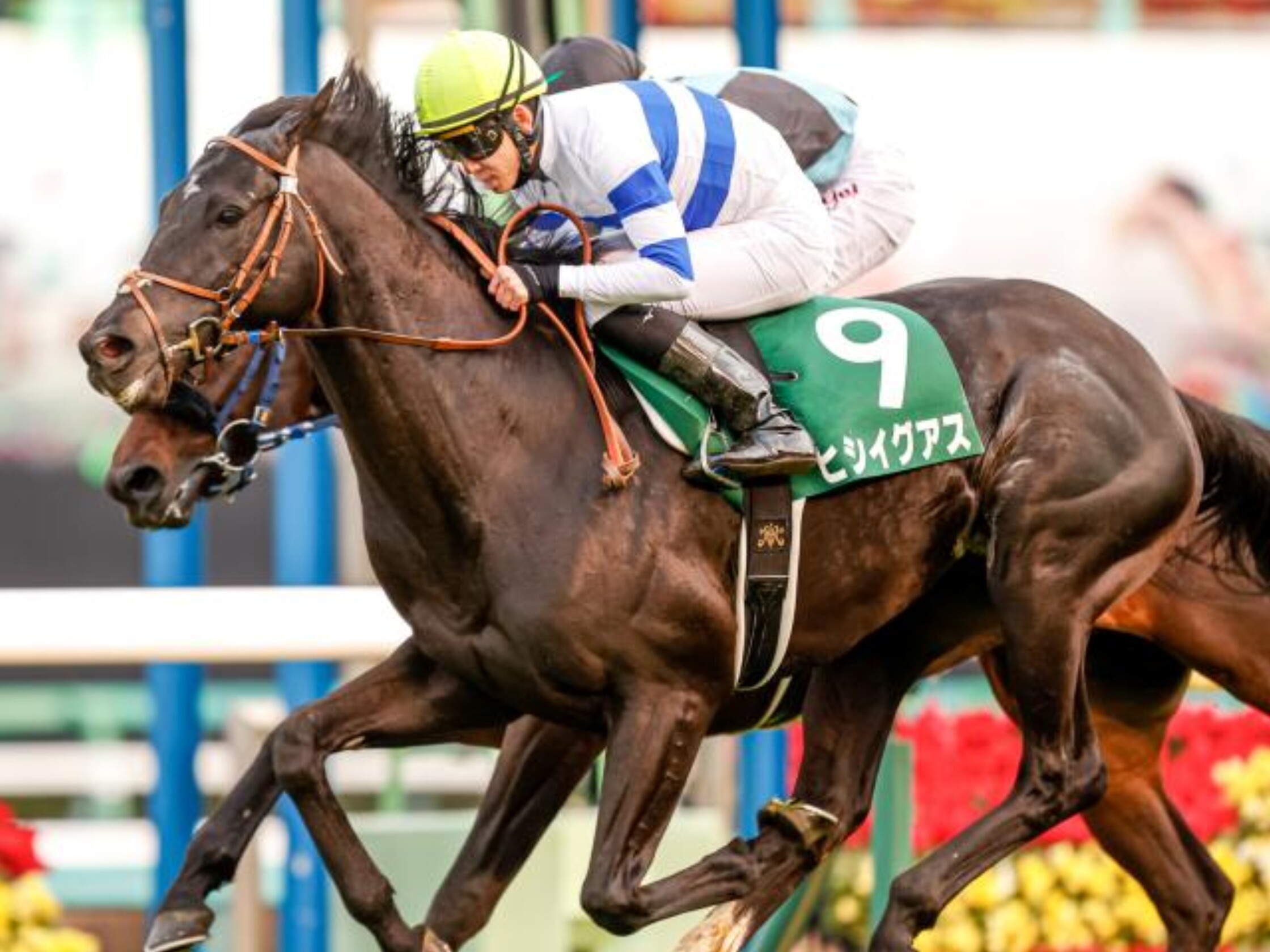 Nakayama_Kinpai_2021