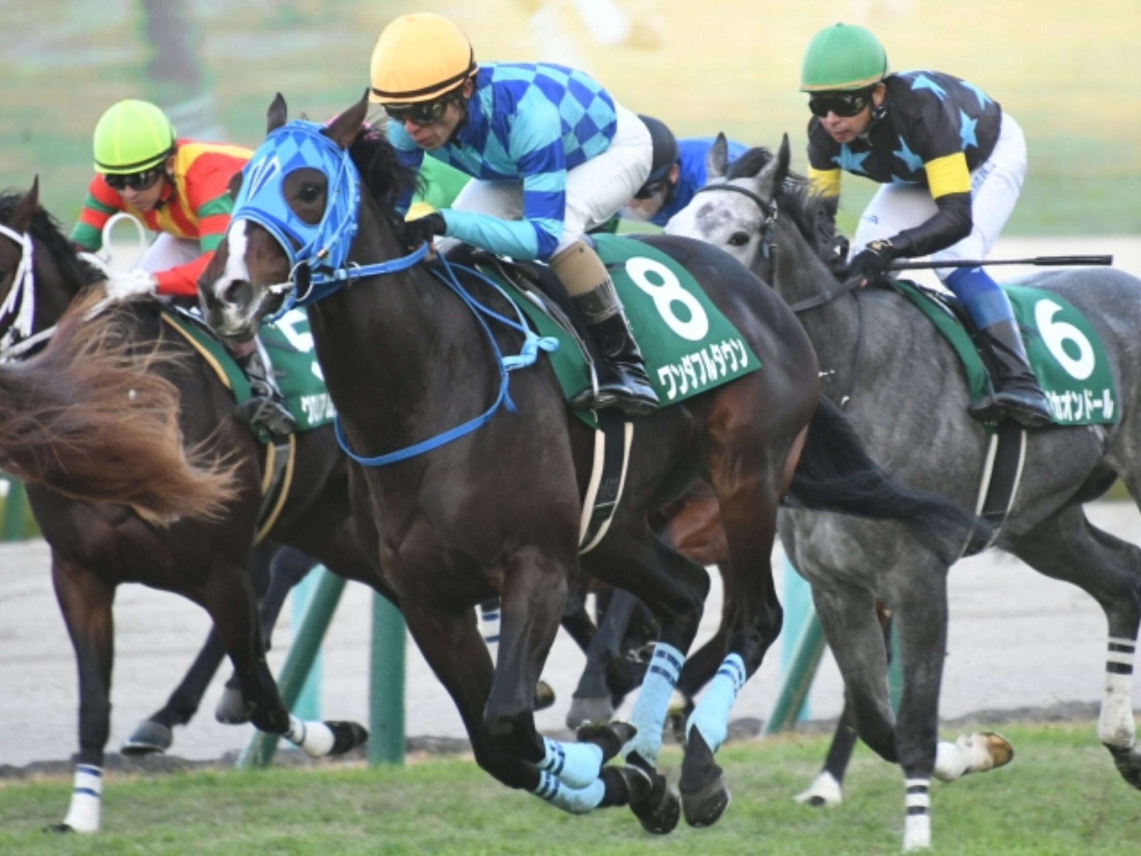 Radio_Nikkei_hai_Kyoto_2_years_Stakes_2020