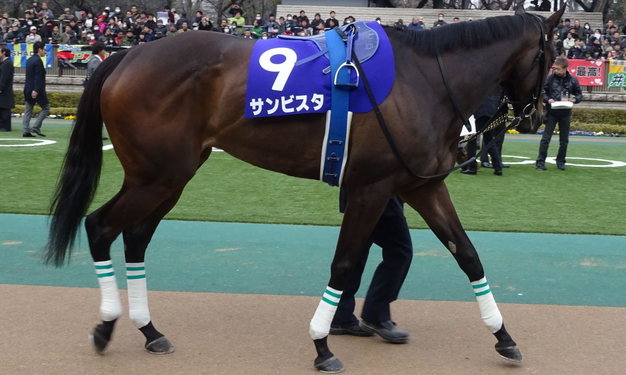 イメージ 16