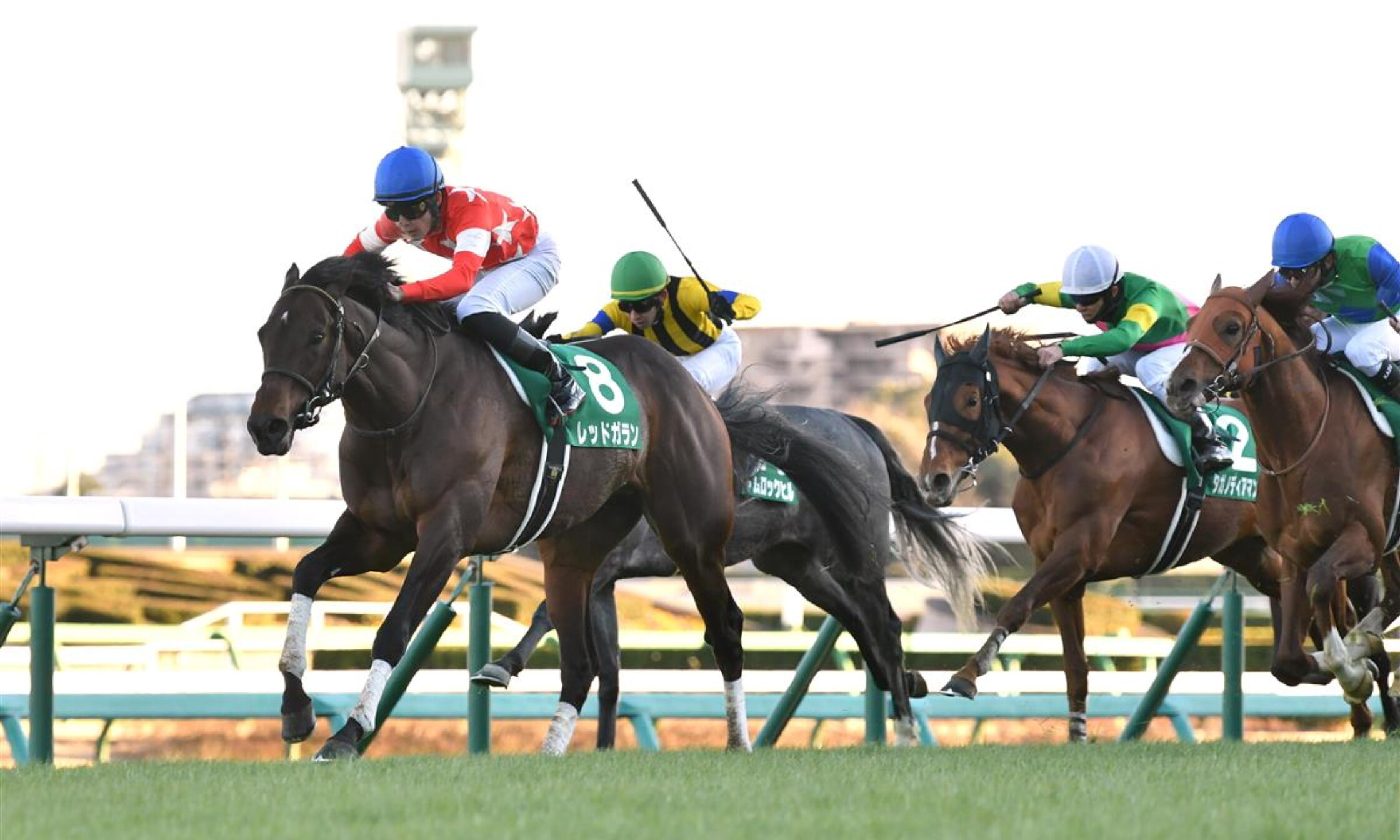 Nakayama_Kinpai_2022