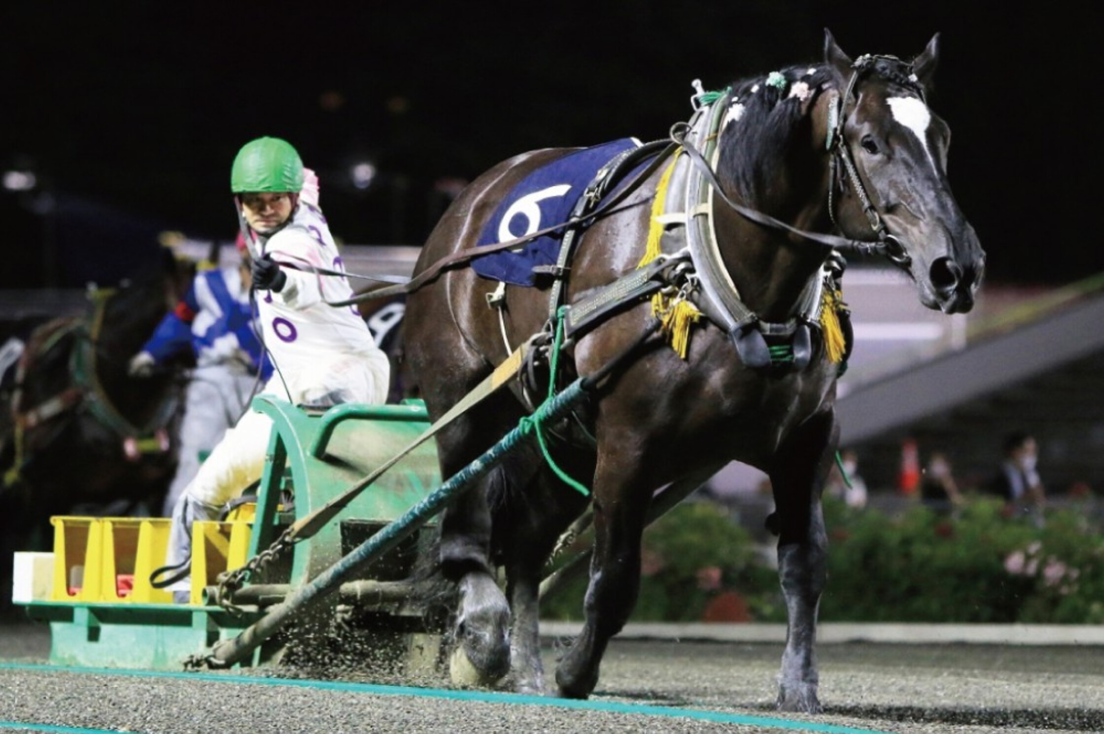 Banei_Daishoten_2021