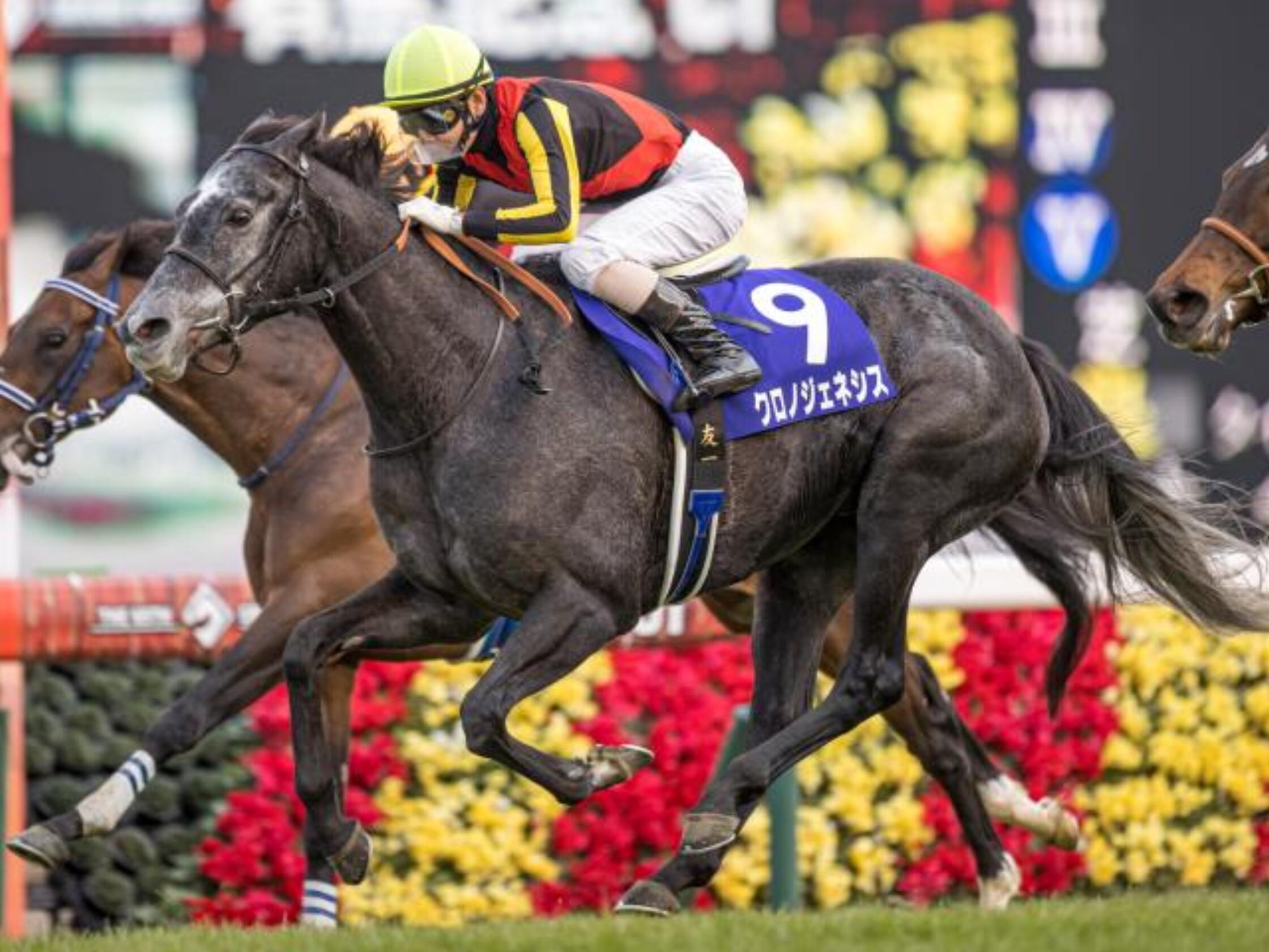 Arima_Kinen_2020