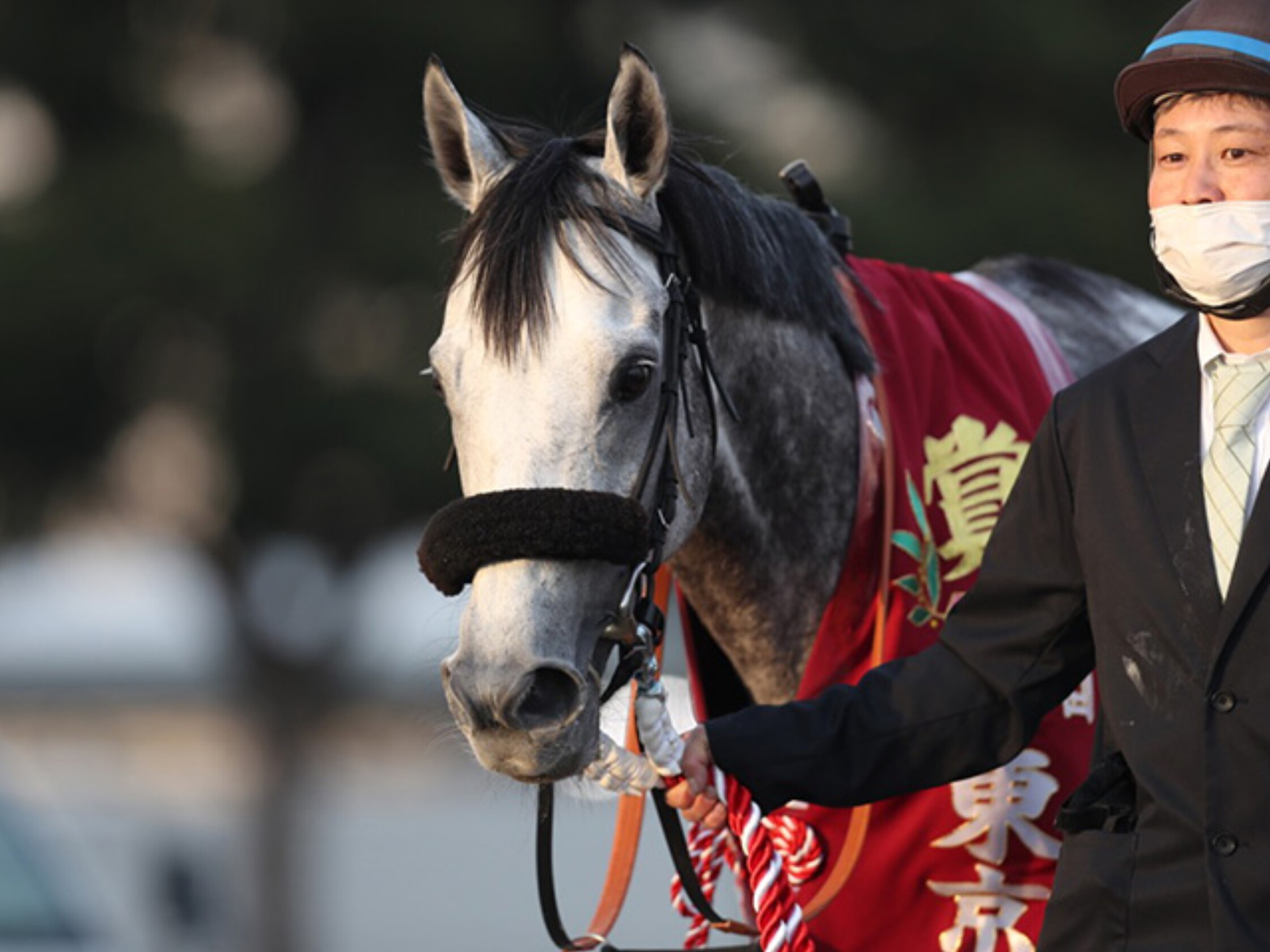 Tokyo_Daishoten_2020