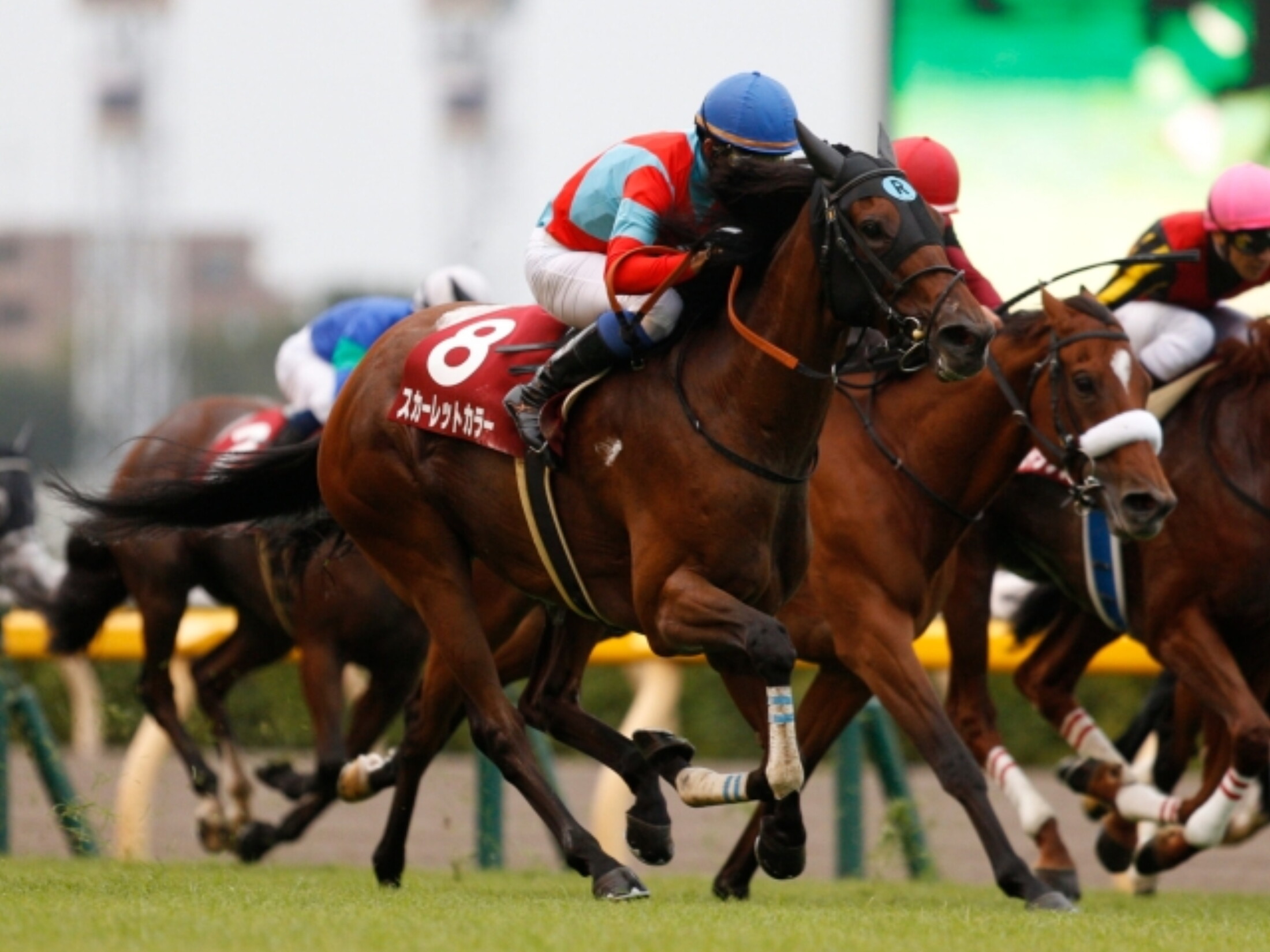 Ireland_Trophy_Fuchu_Mare_Stakes_2019