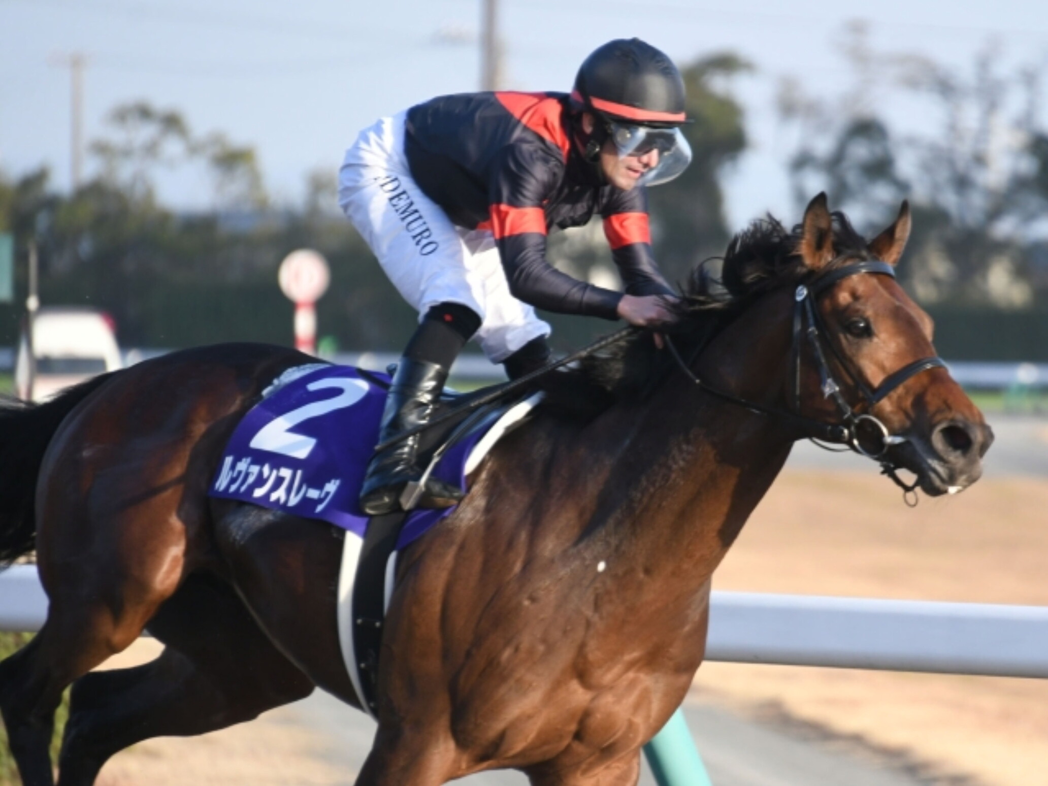 Mirco_Demuro_with_Le_Vent_Se_Leve