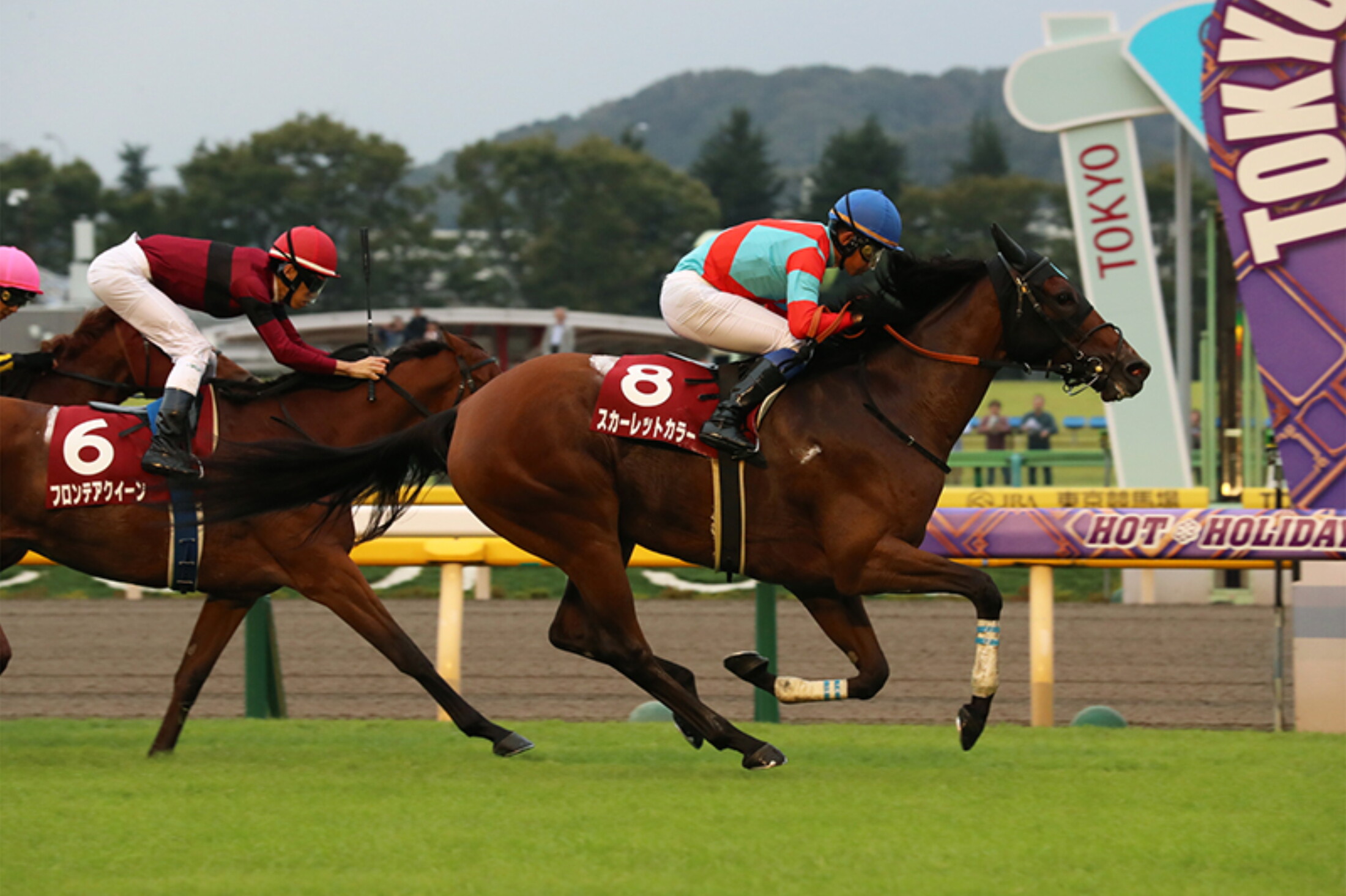 Ireland_Trophy_Fuchu_Mare_Stakes_2019