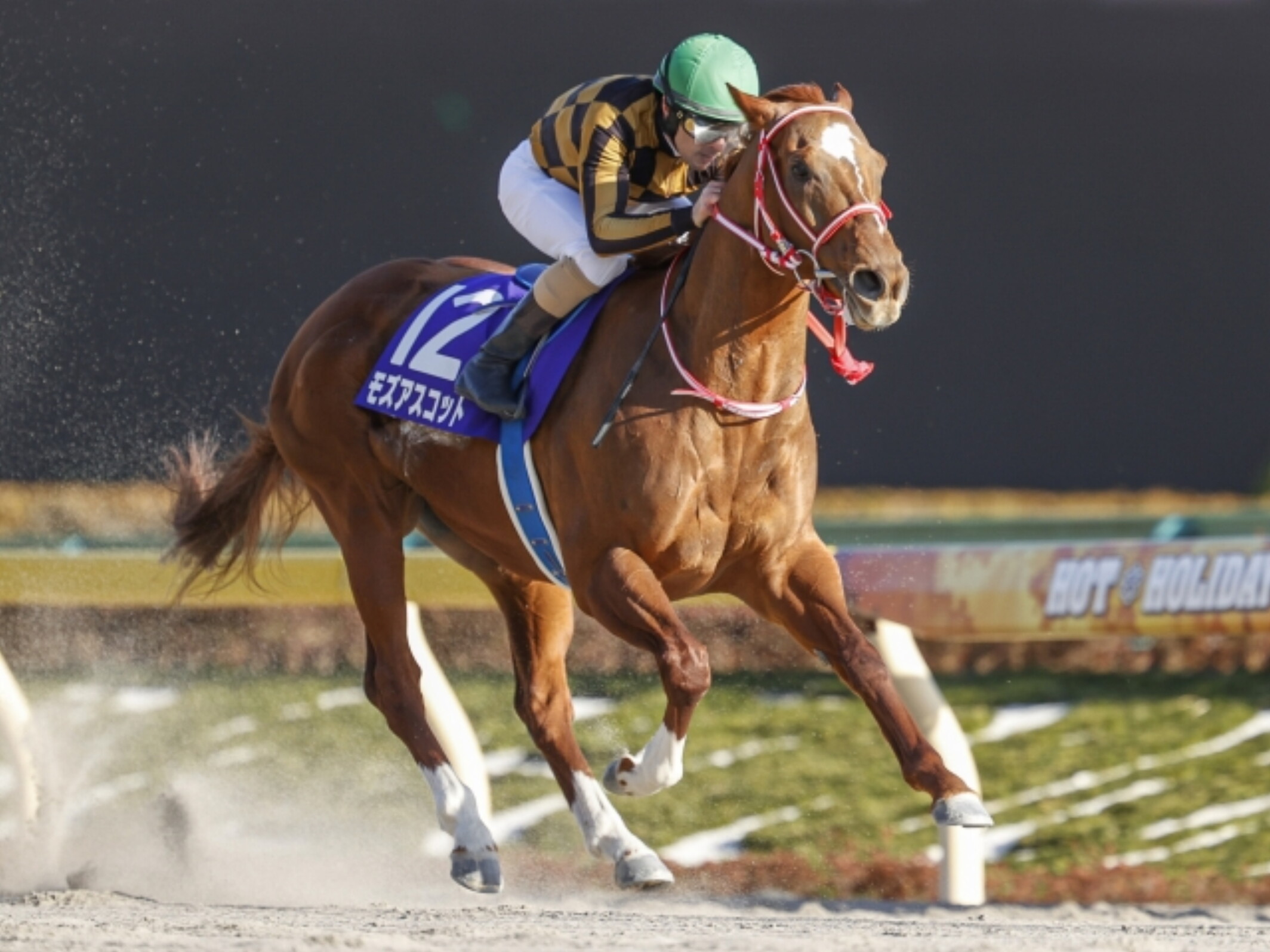 Christophe_Patrice_Lemaire_with_Mozu_Ascot