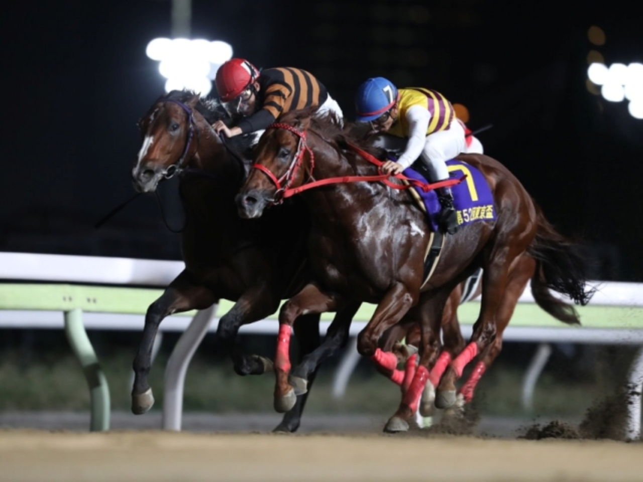 結果 地方 競馬
