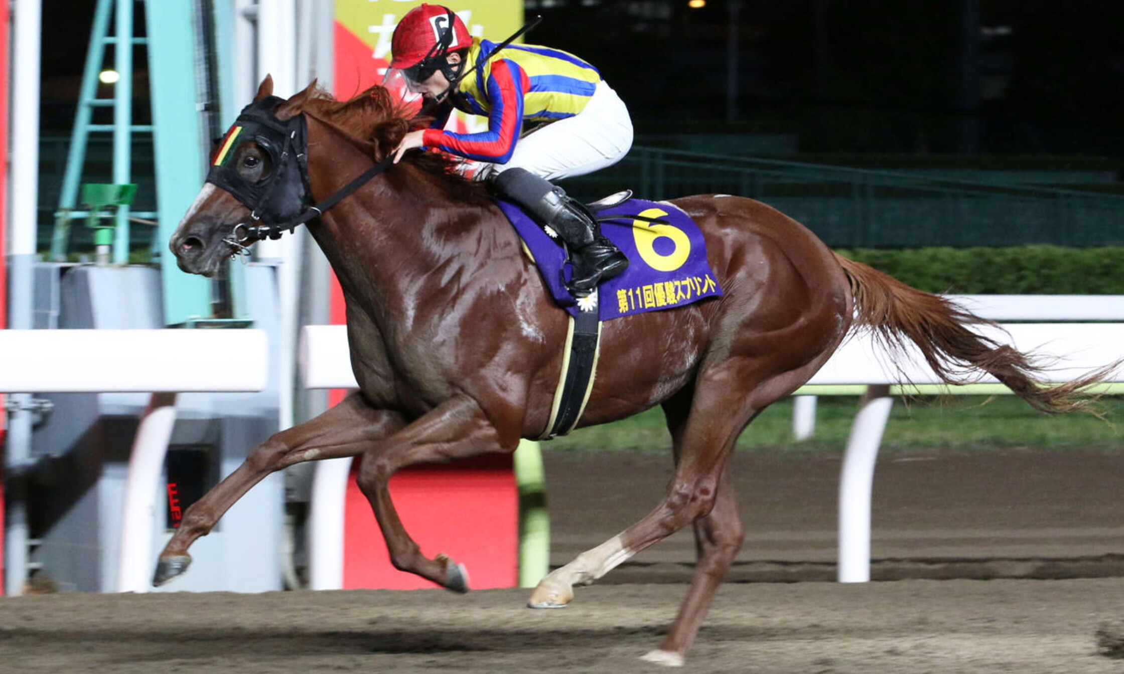 Yushun_Sprint_2021