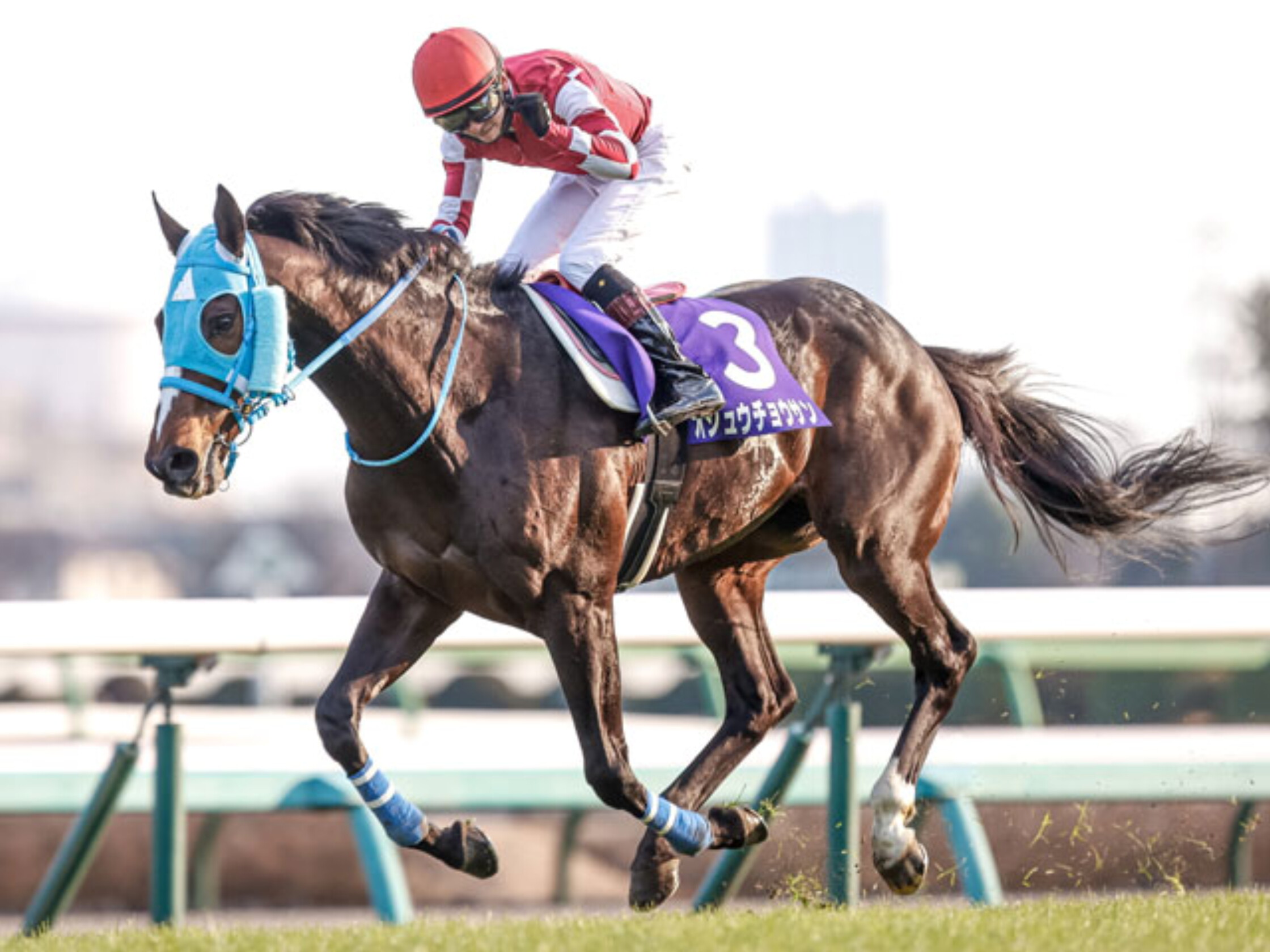 Nakayama_Daishogai_2021