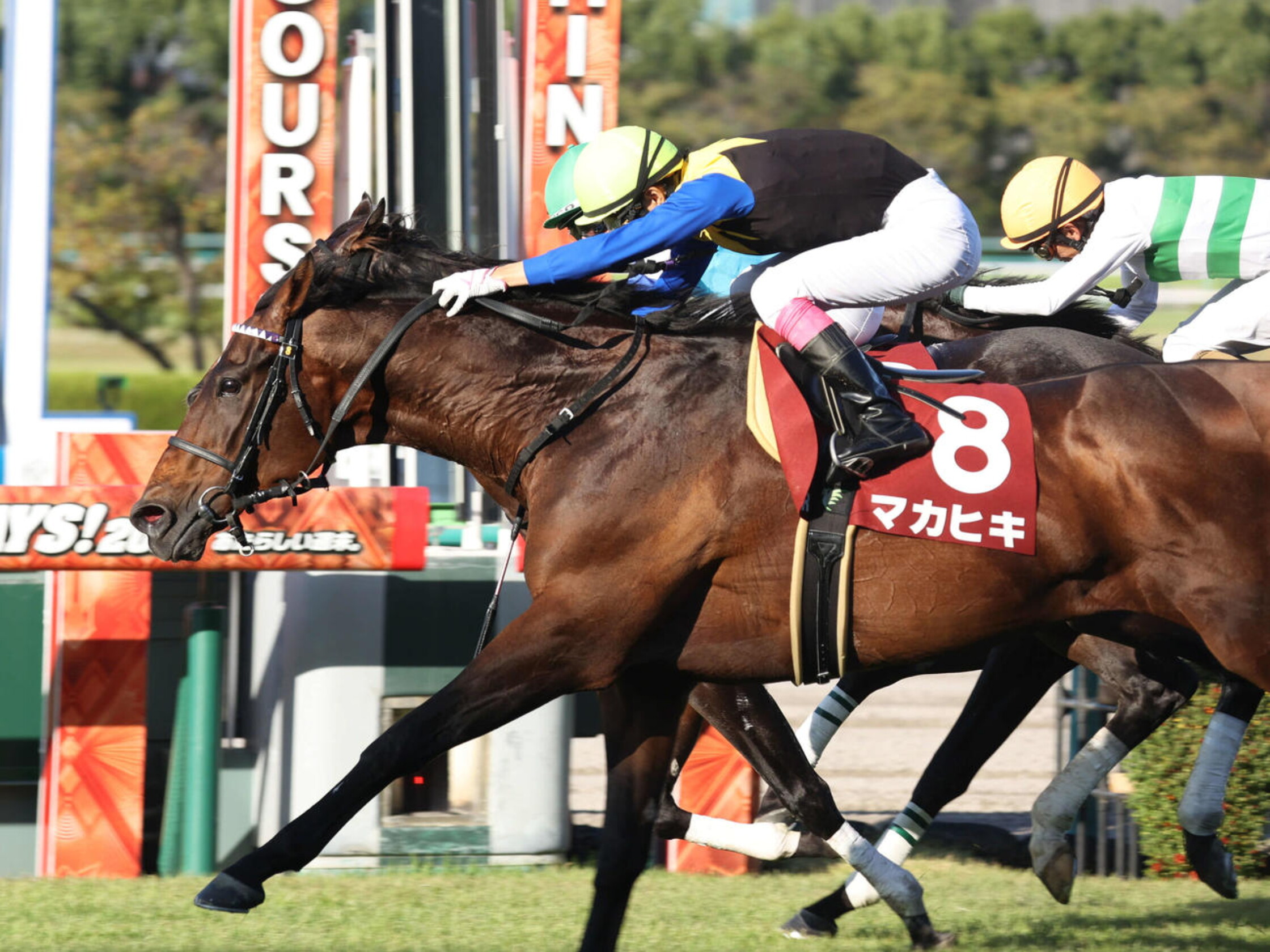 Kyoto_Daishoten_2021