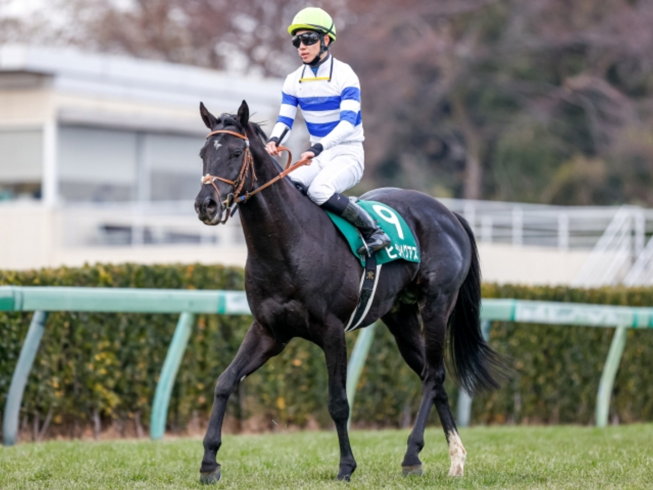 Nakayama_Kinpai_2021