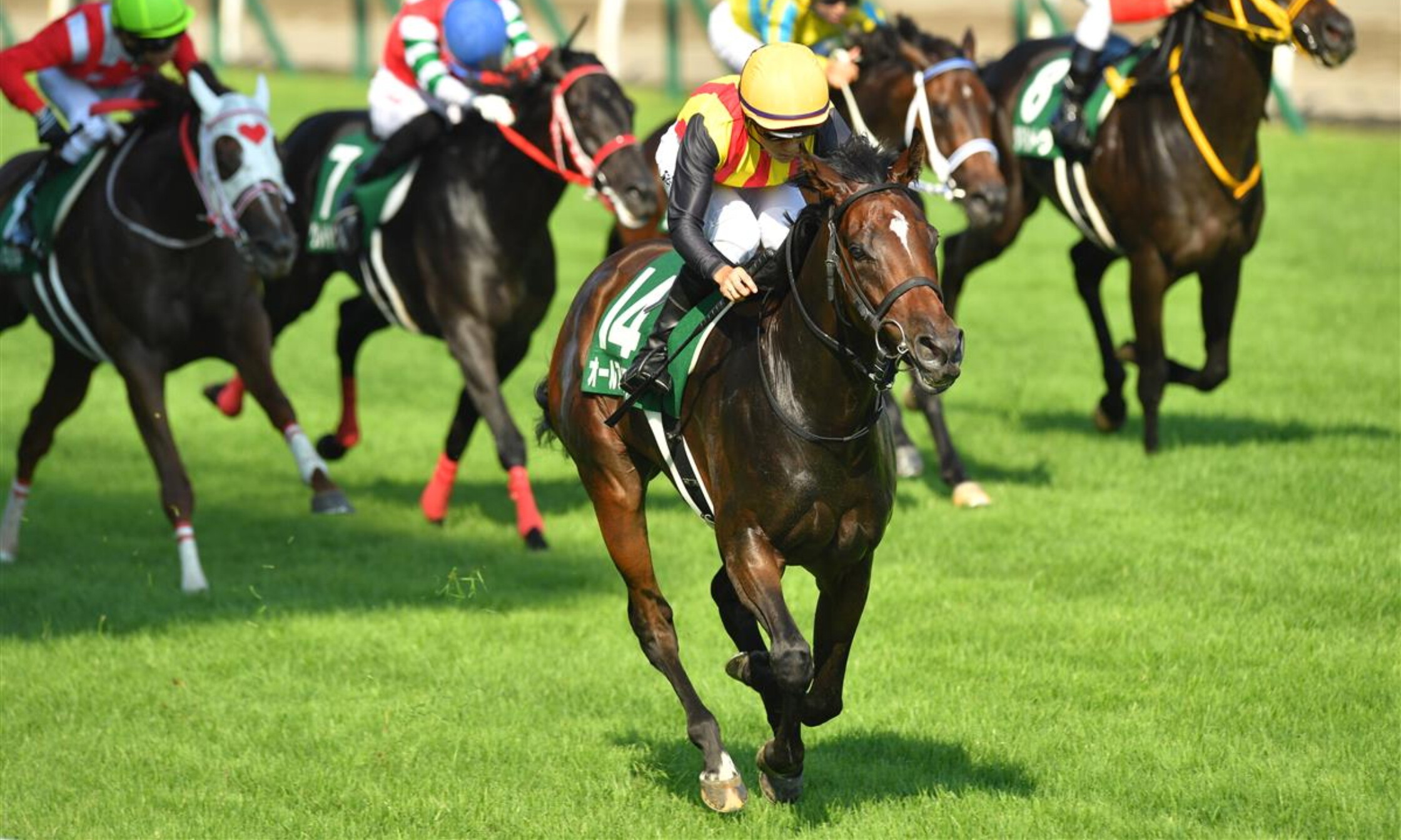 Ibis_Summer_Dash_2021