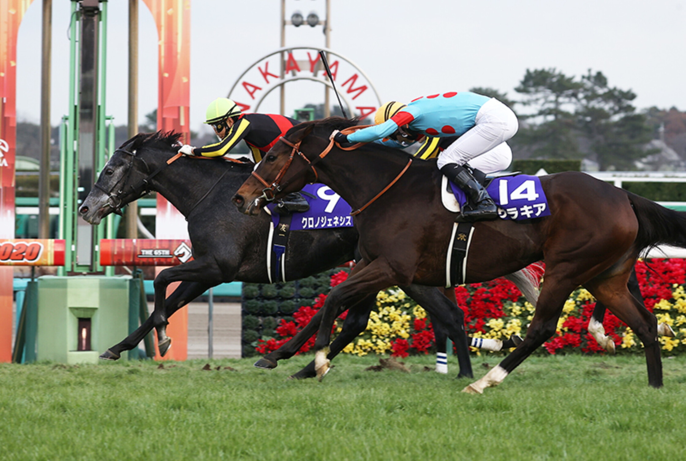 Arima_Kinen_2020