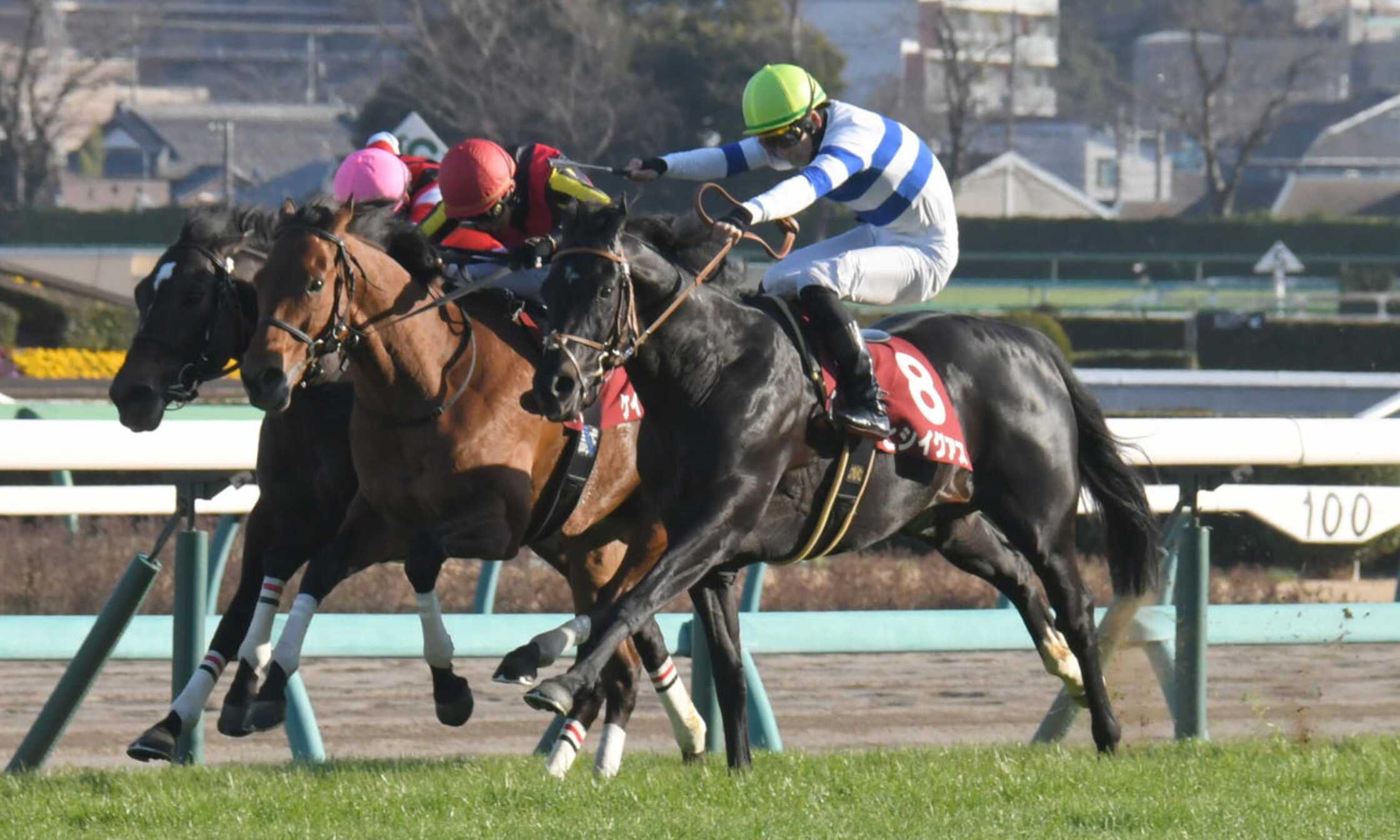 Nakayama_Kinen_2021