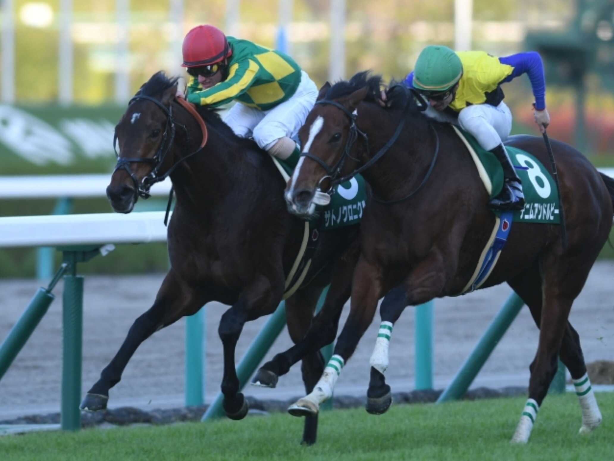 Mirco_Demuro_with_Satono_Chronicle