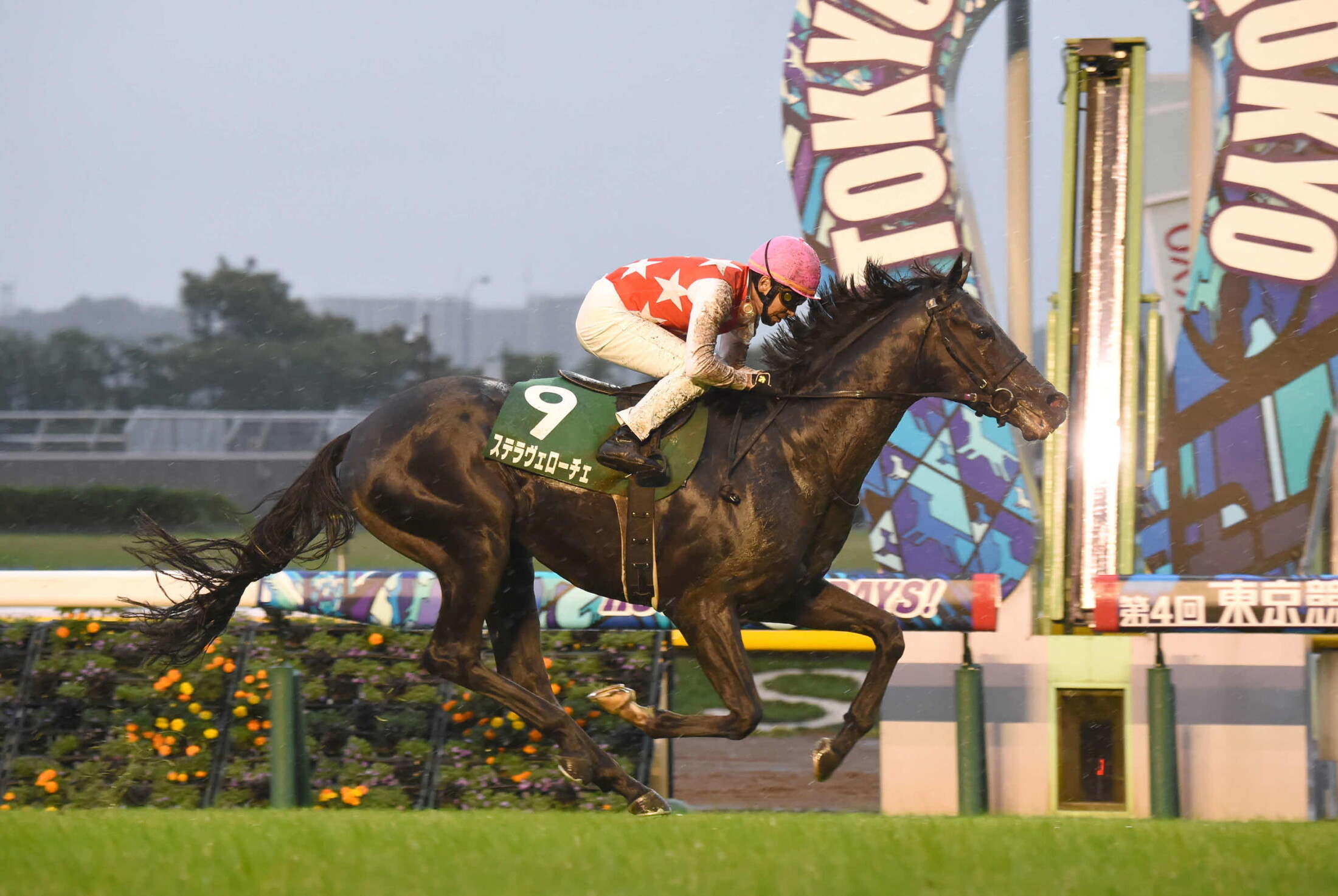 Saudi_Arabia_Loyal_Cup_2020