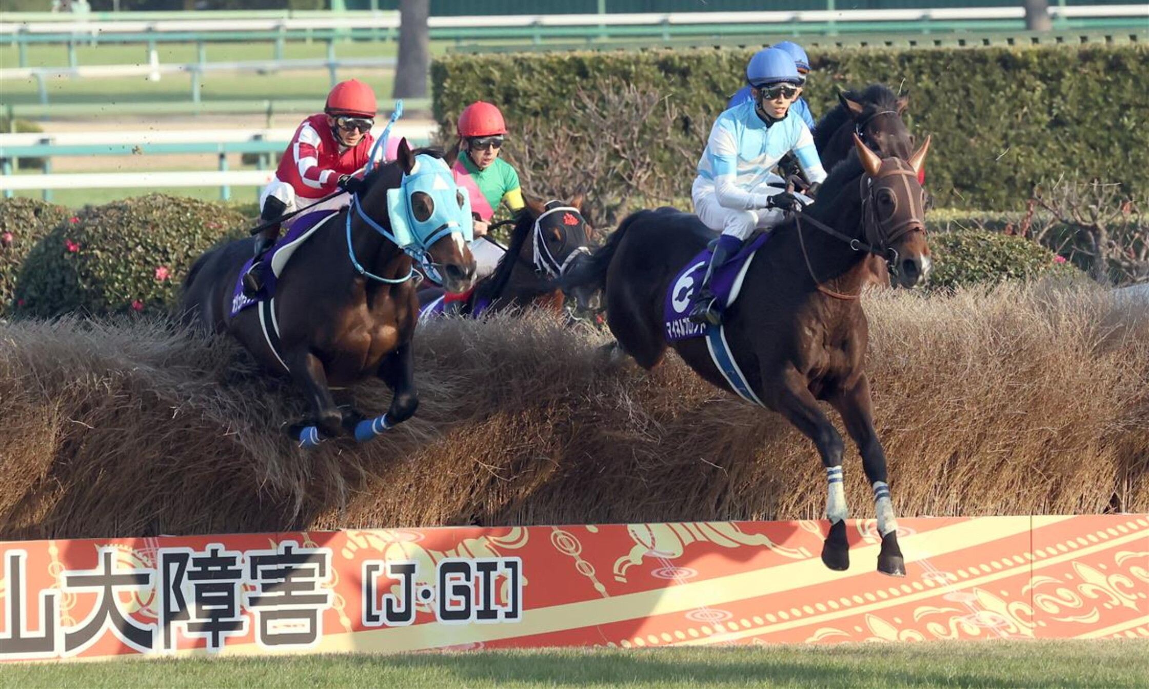 Nakayama_Daishogai_2021