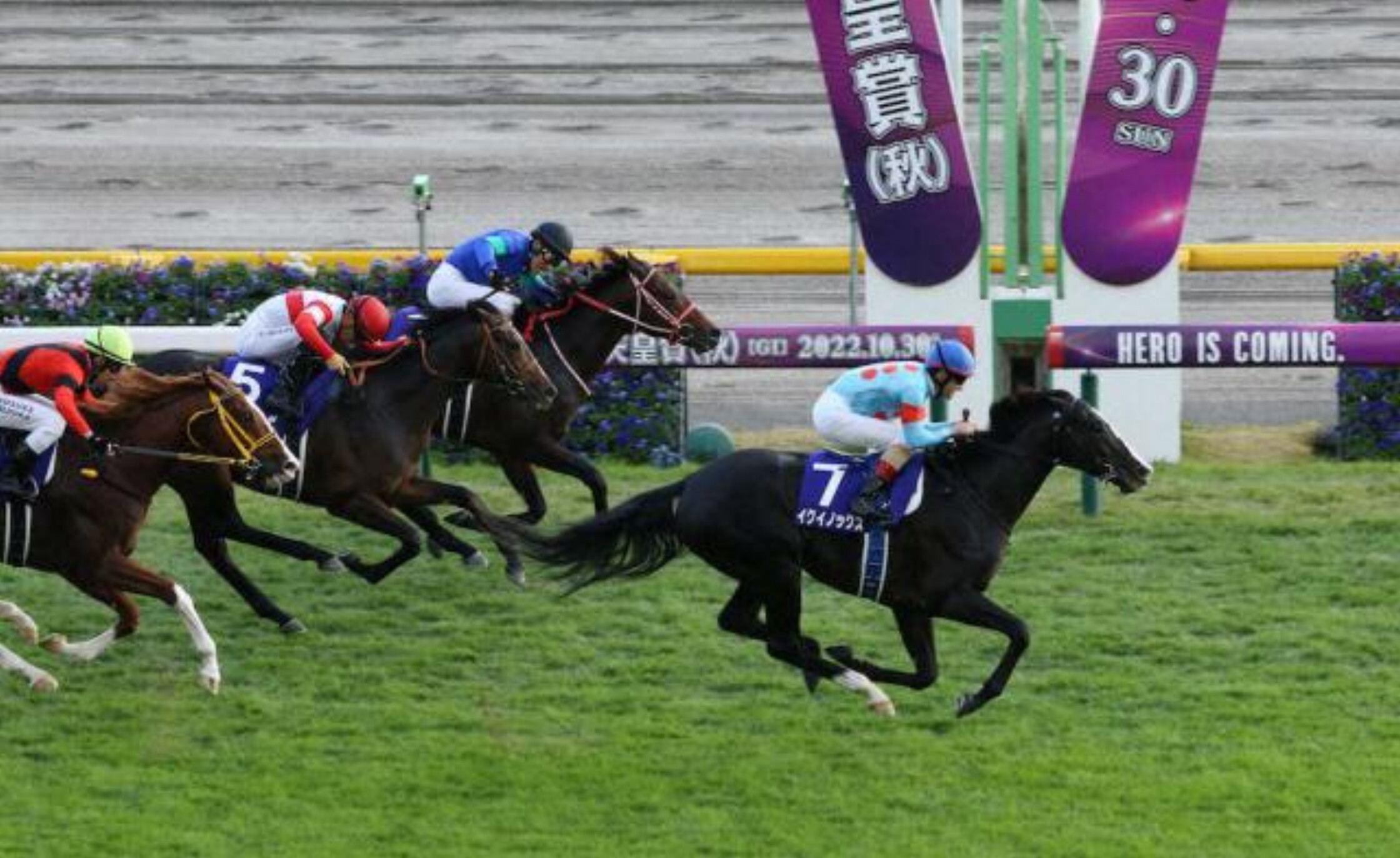 Tenno_sho(Autumn)_2022