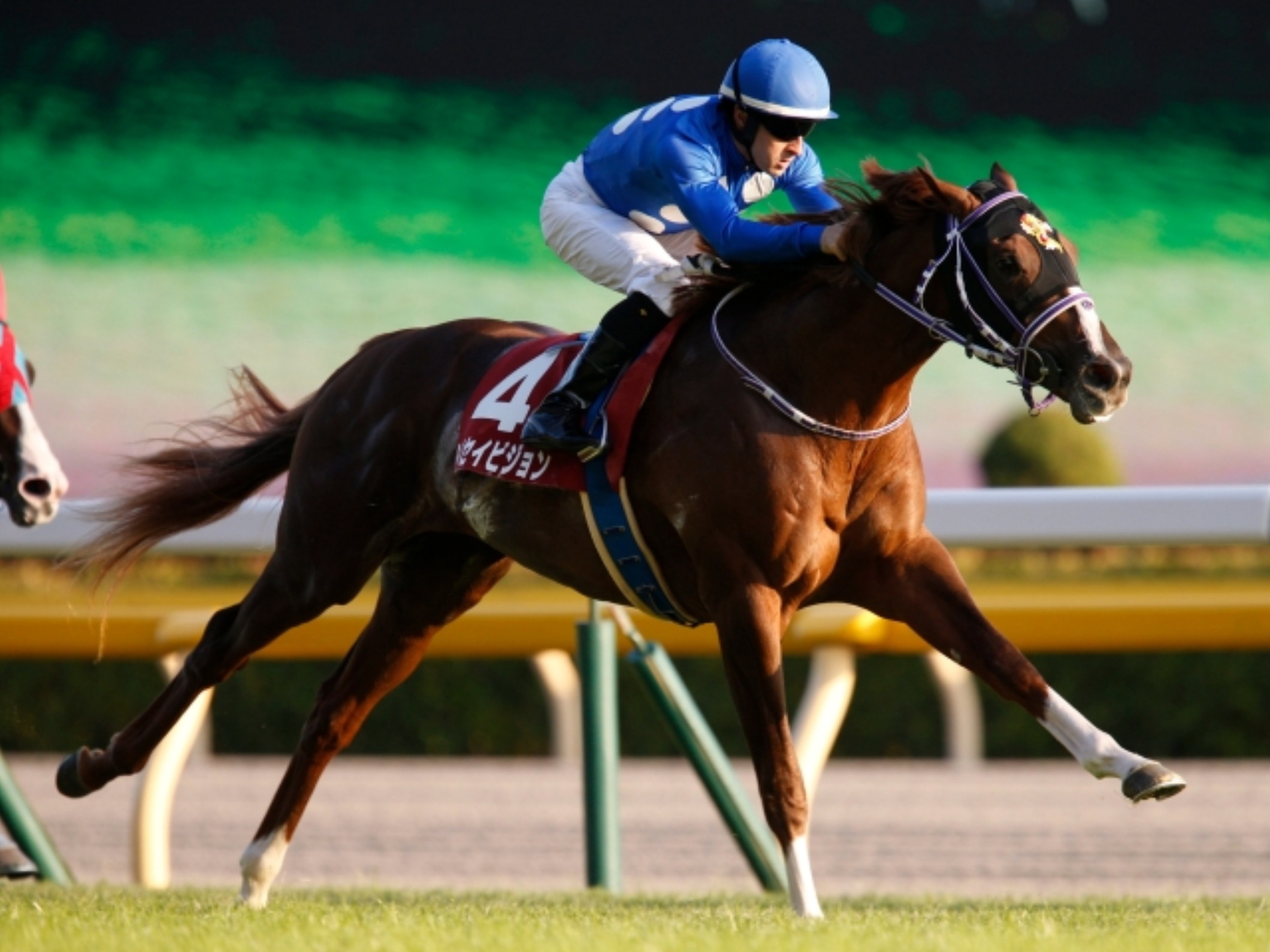 Christophe Patrice Lemaire with Taisei Vision