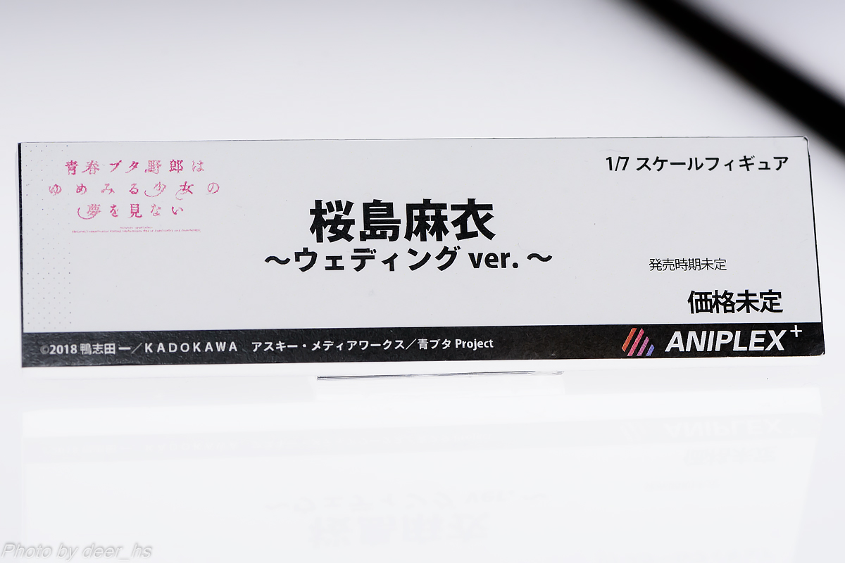 MGH2019SP-ANP-007