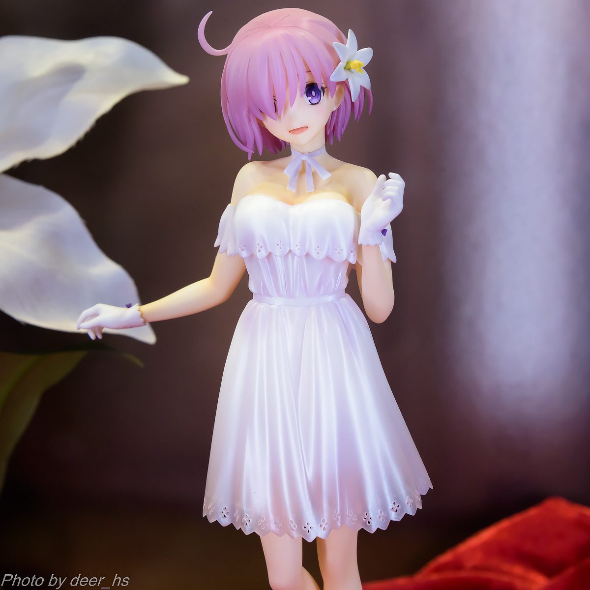 WF2019W-WH-002