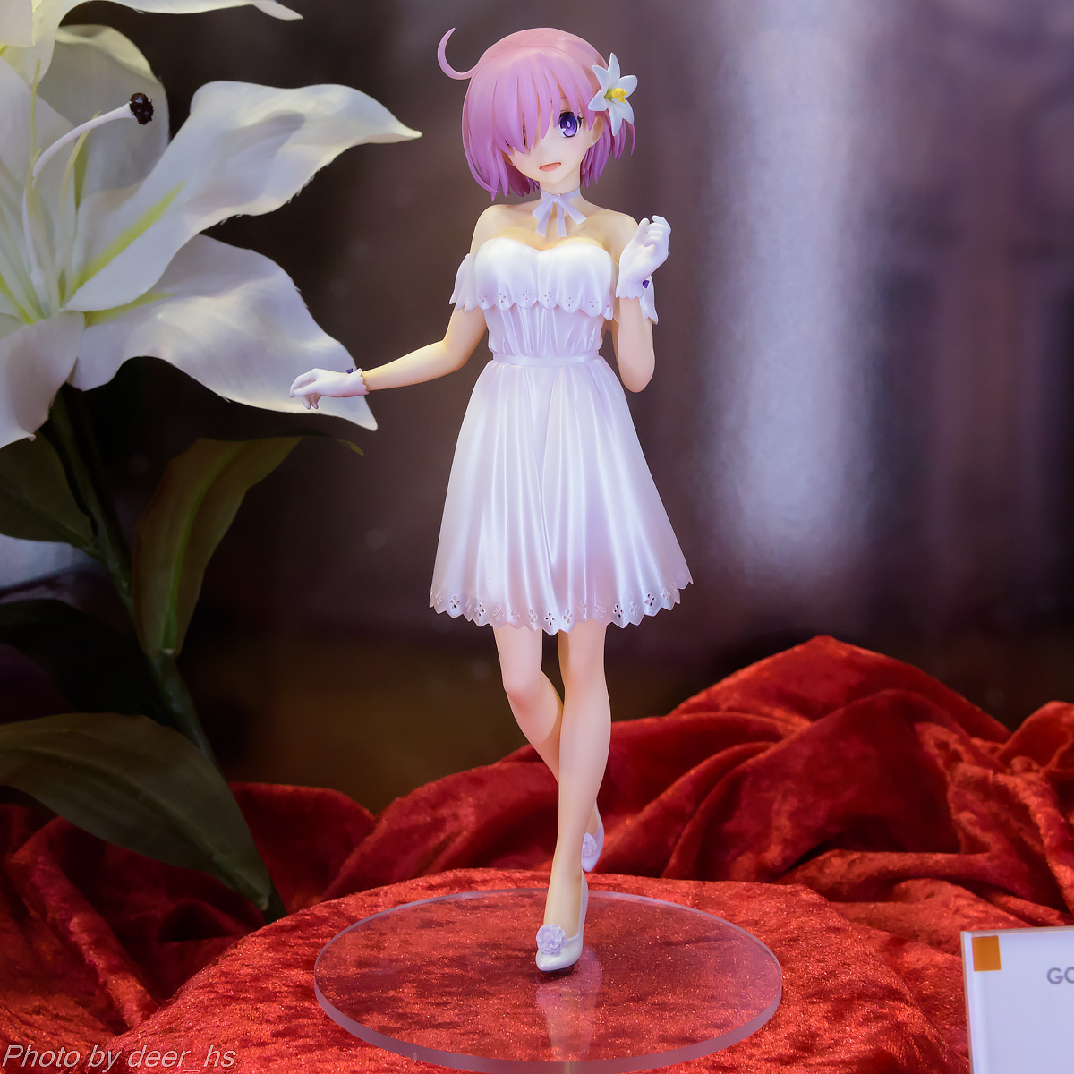 WF2019W-WH-001