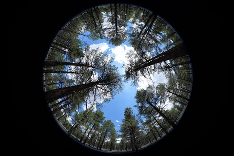 8mm 1/1000 F3.5 ISO 100 α7R VI