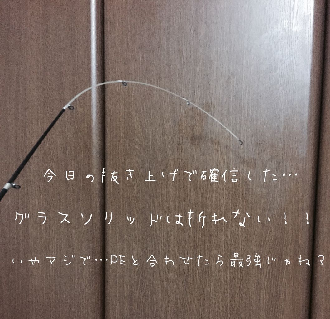グラスソリッドの可能性 マジで使えます 今から先のバチ抜けにも スイートフィッシュのブログ