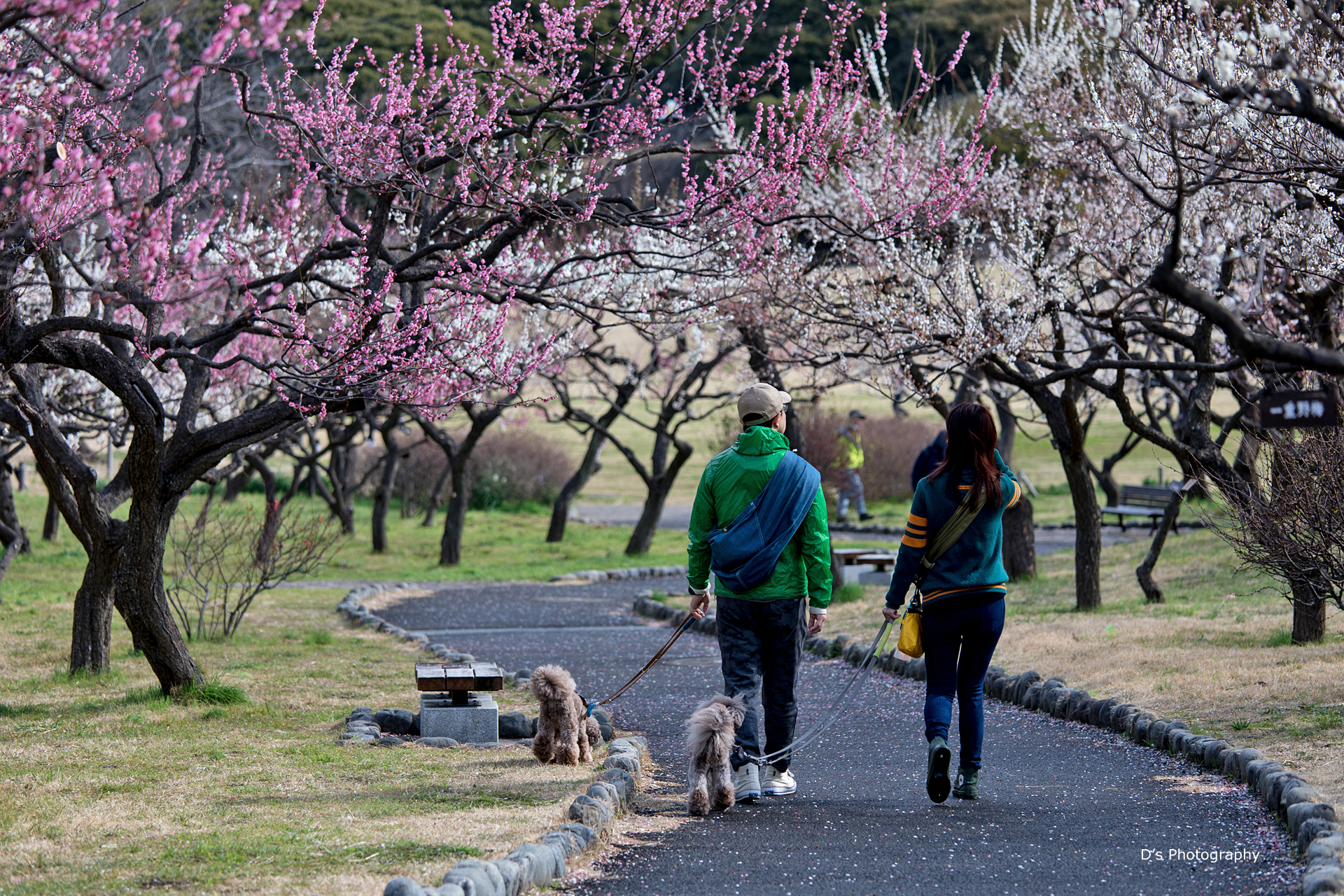 根岸森林公園 5 D S Photo Diary