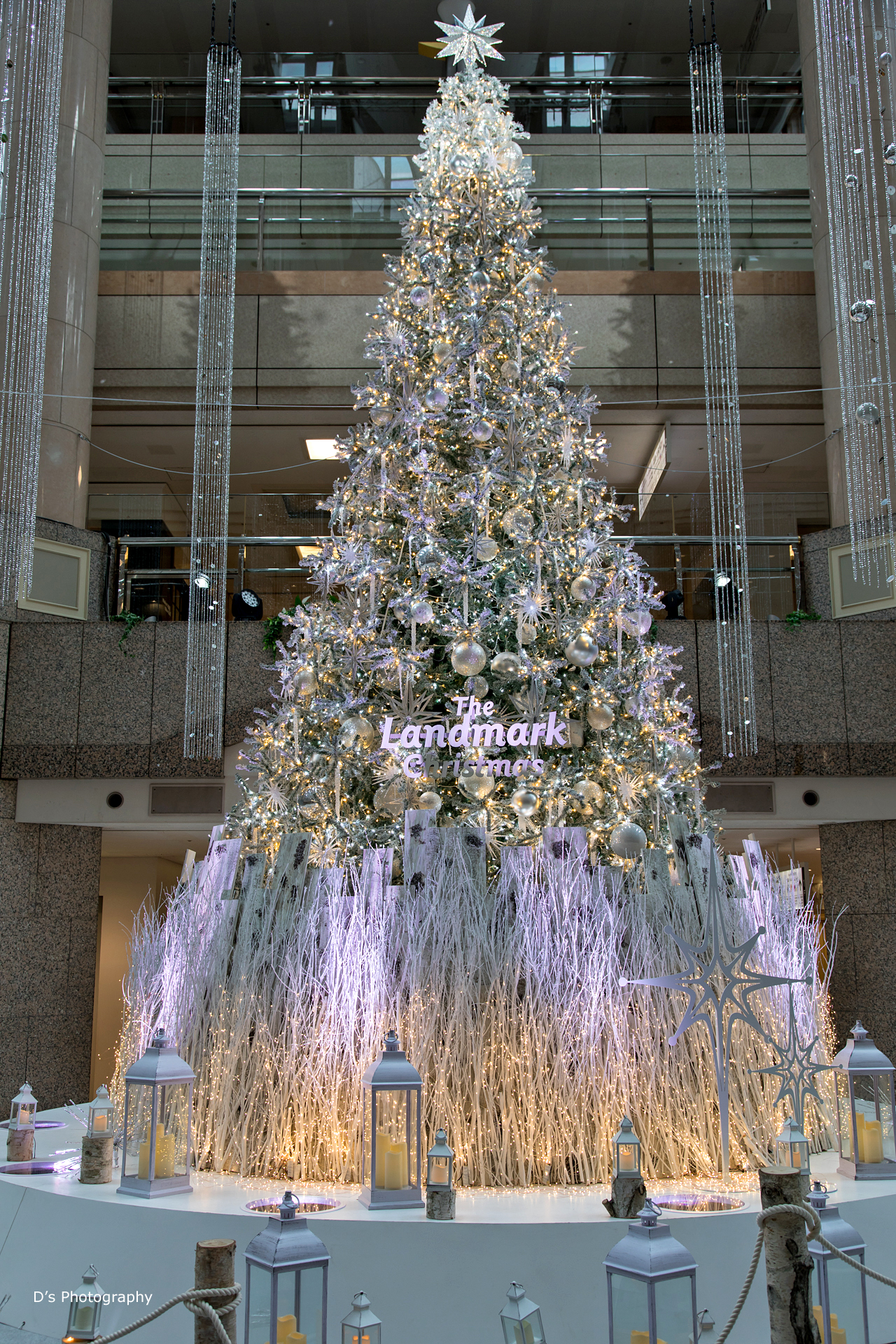 横浜のクリスマスツリー D S Photo Diary