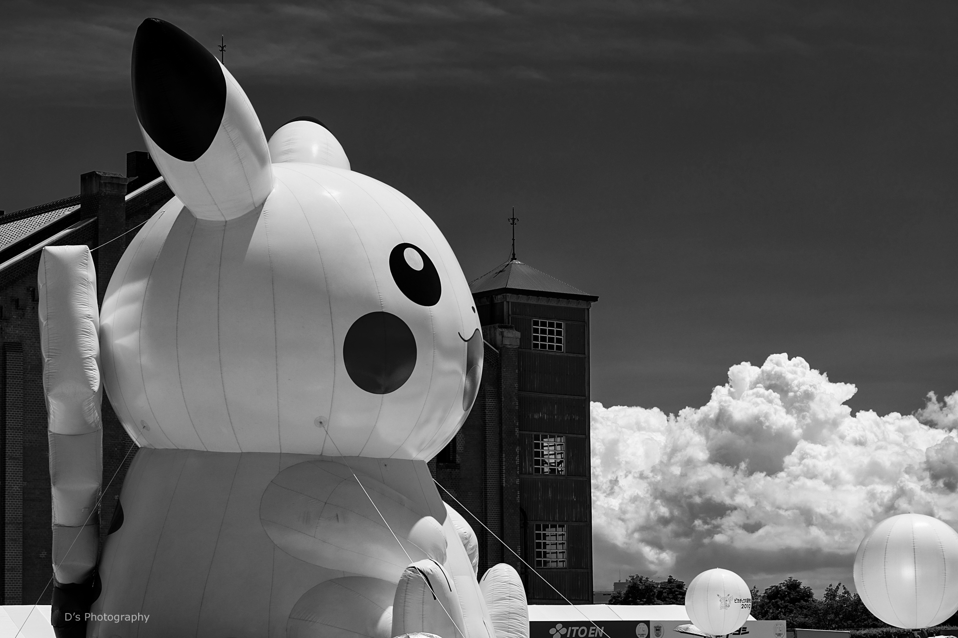 ピカチュウ大量発生チュウ D S Photo Diary