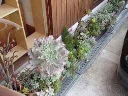 13151789_636226723196817_5767848105692993787_n