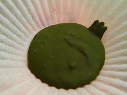 10519642_467910893361735_247070843744919807_n