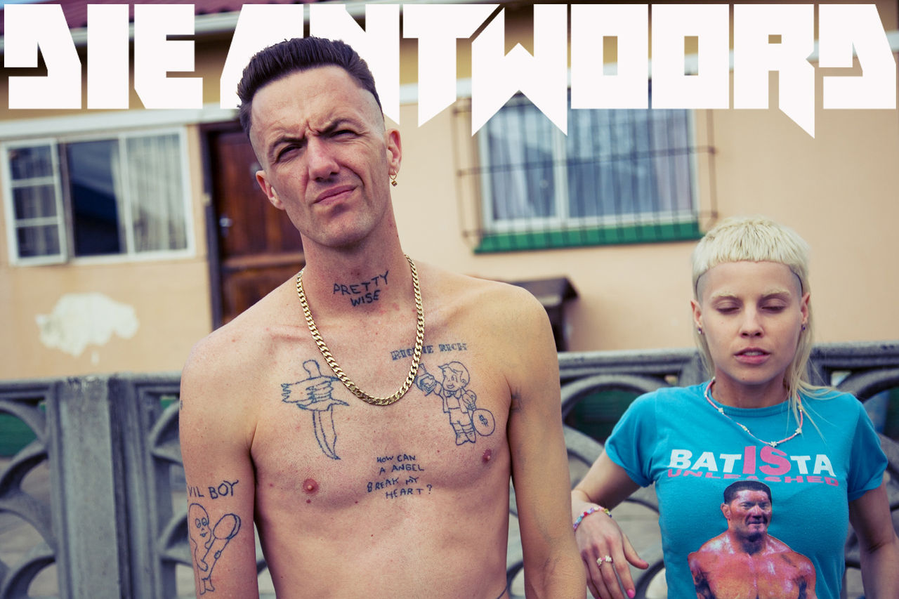 Die Antwoord NINJA Tシャツ 公式 ダイアントワード ニンジャ Die Antwoord Band Ninja T-Shirt Size M – Vinyl Devotion