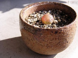 13267889_645865855566237_5405987300582935560_n