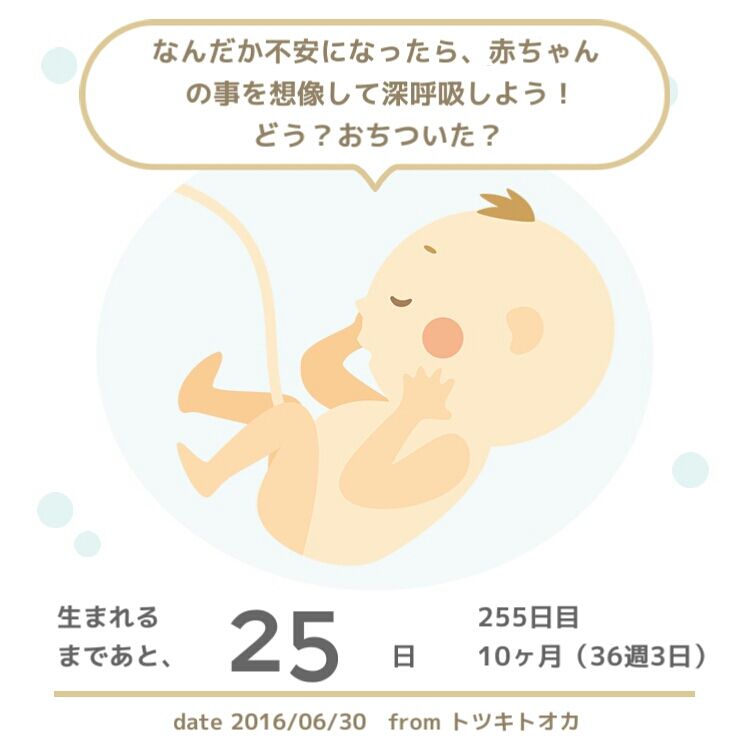 36w3d ハロー 赤ちゃんのお土産が届きました 毎日がデコボコステップ シンママは今日も育児中