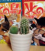 saboten0610