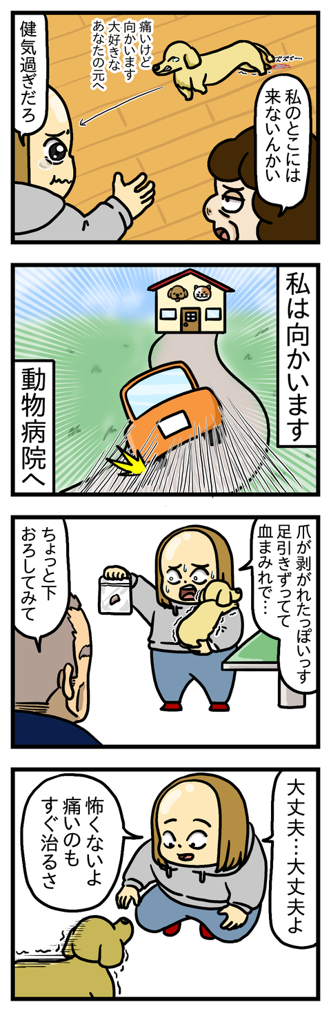すってんころりん③