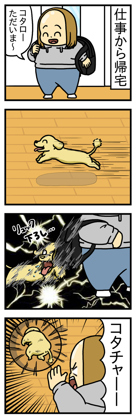 わざとじゃない