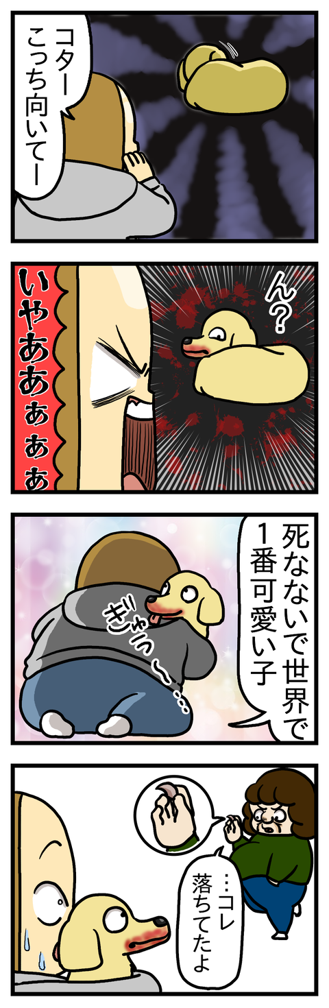 すってんころりん②